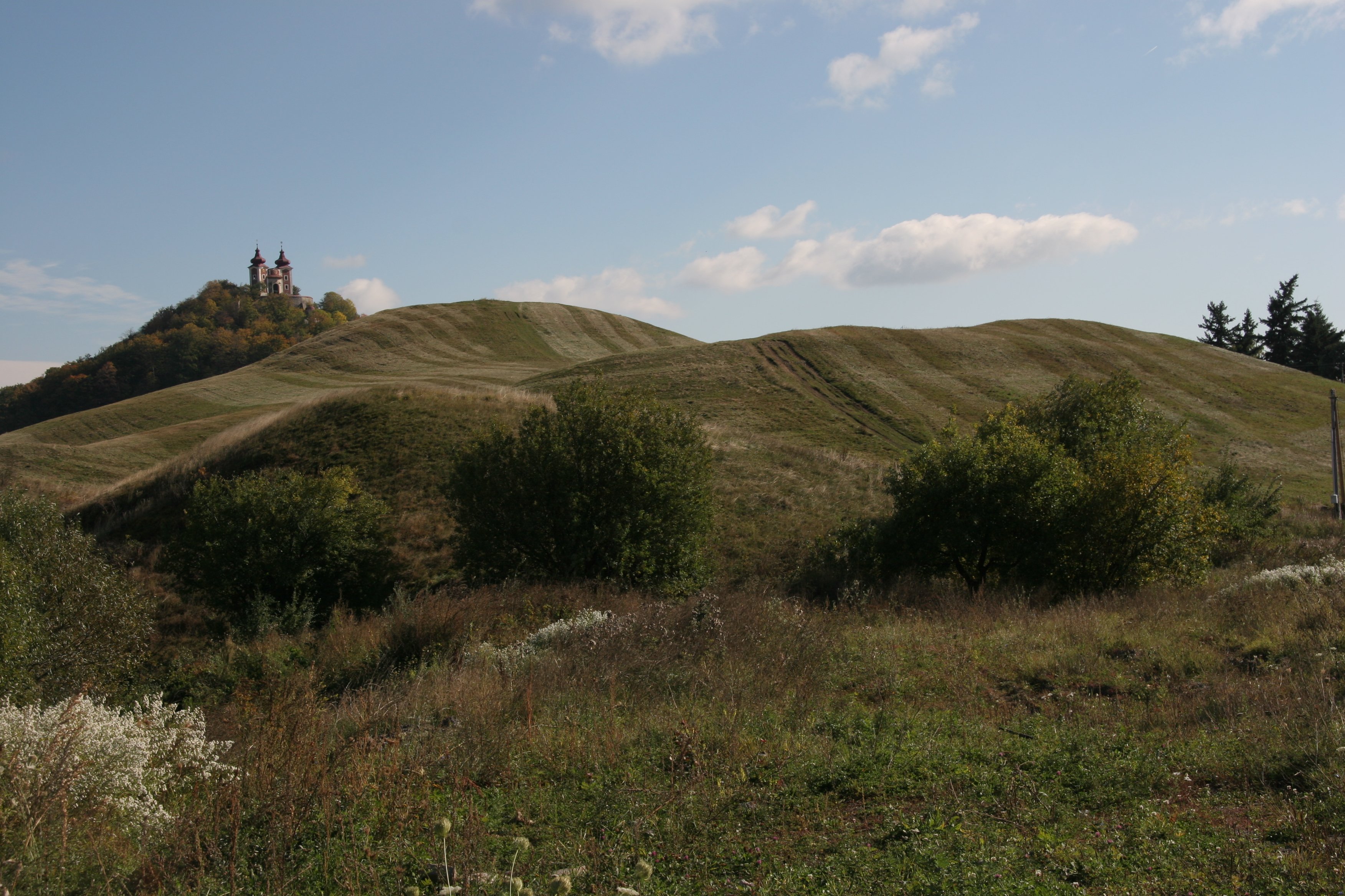 img_5941.jpg