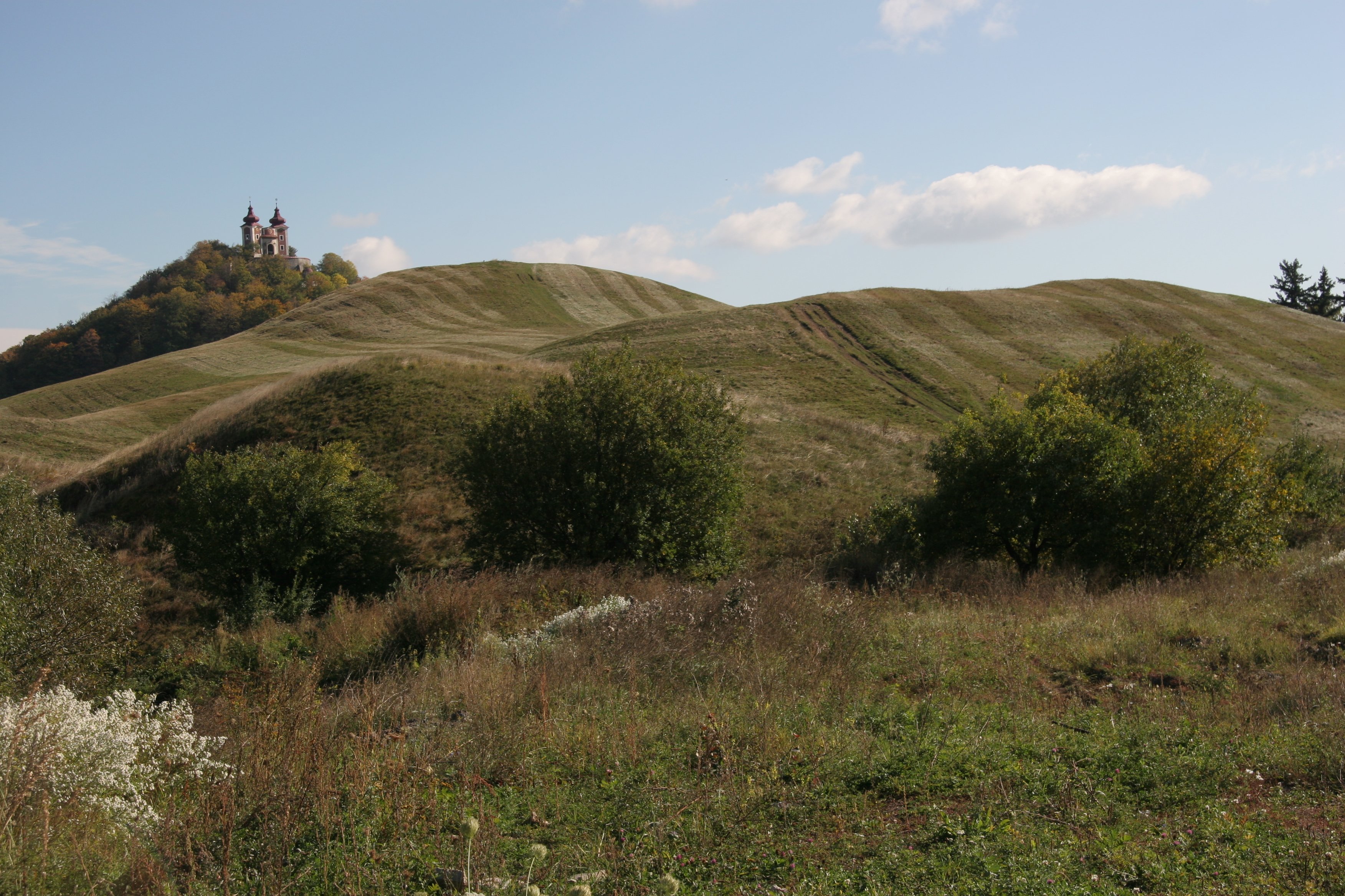 img_5942.jpg
