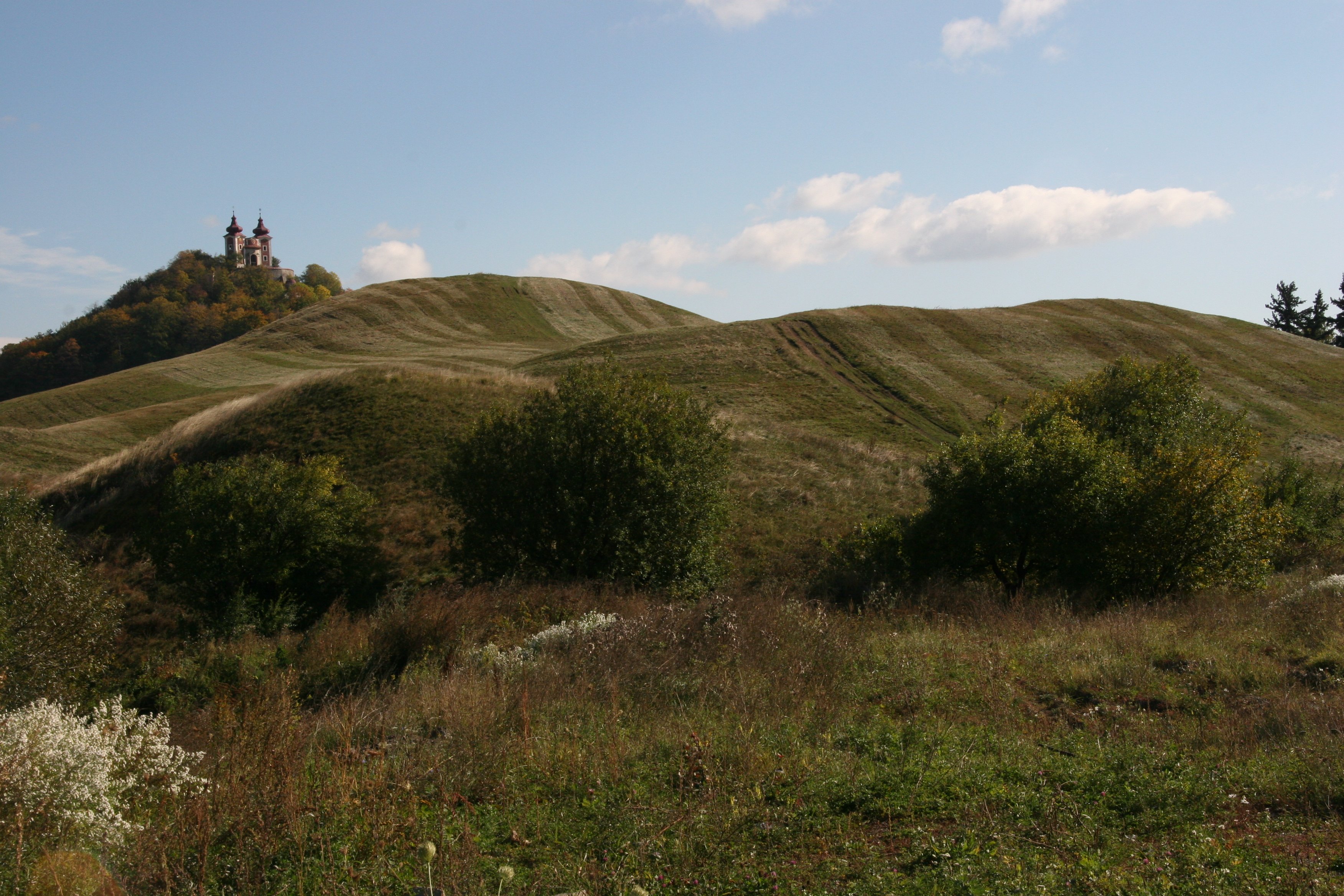 img_5944.jpg