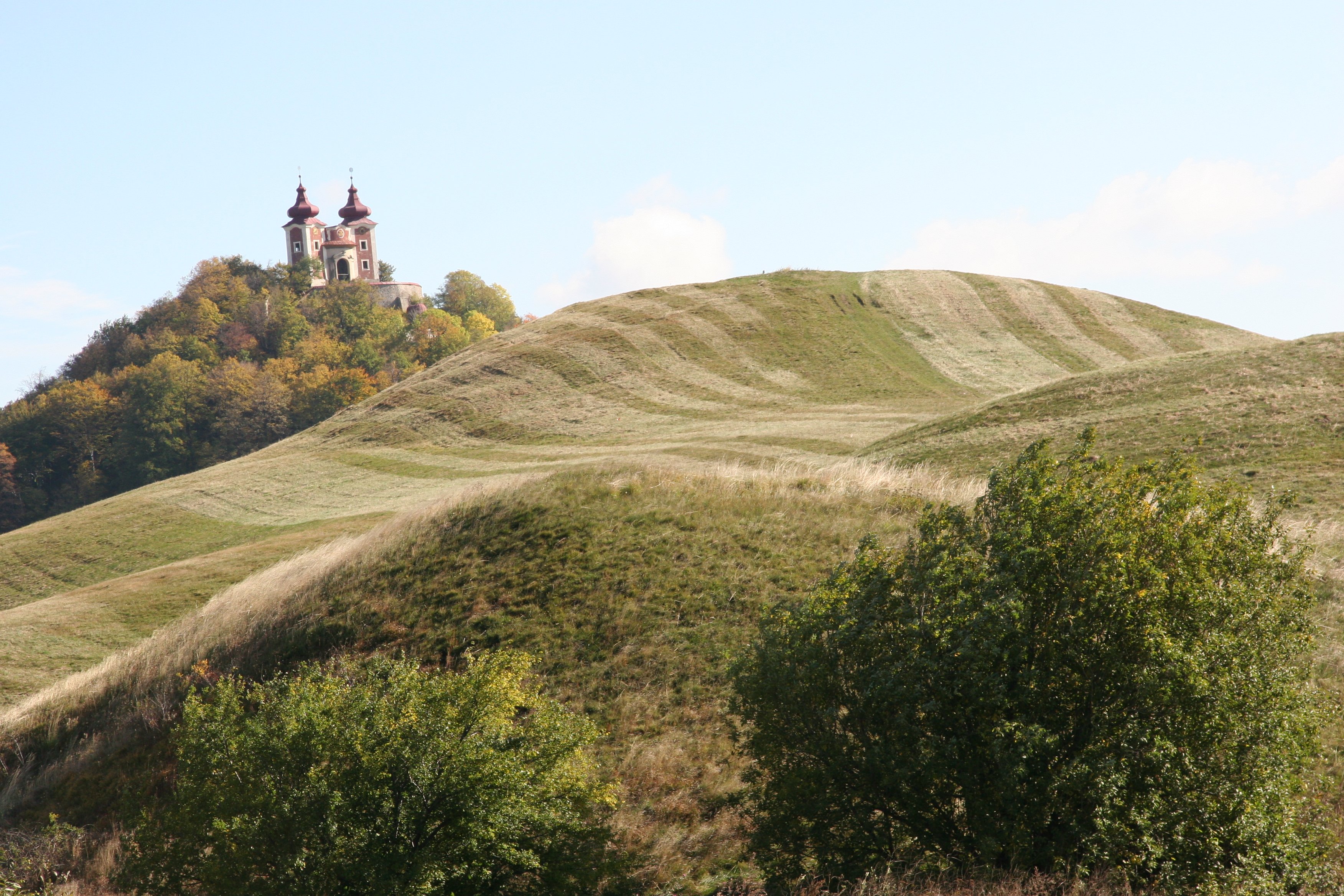 img_5945.jpg