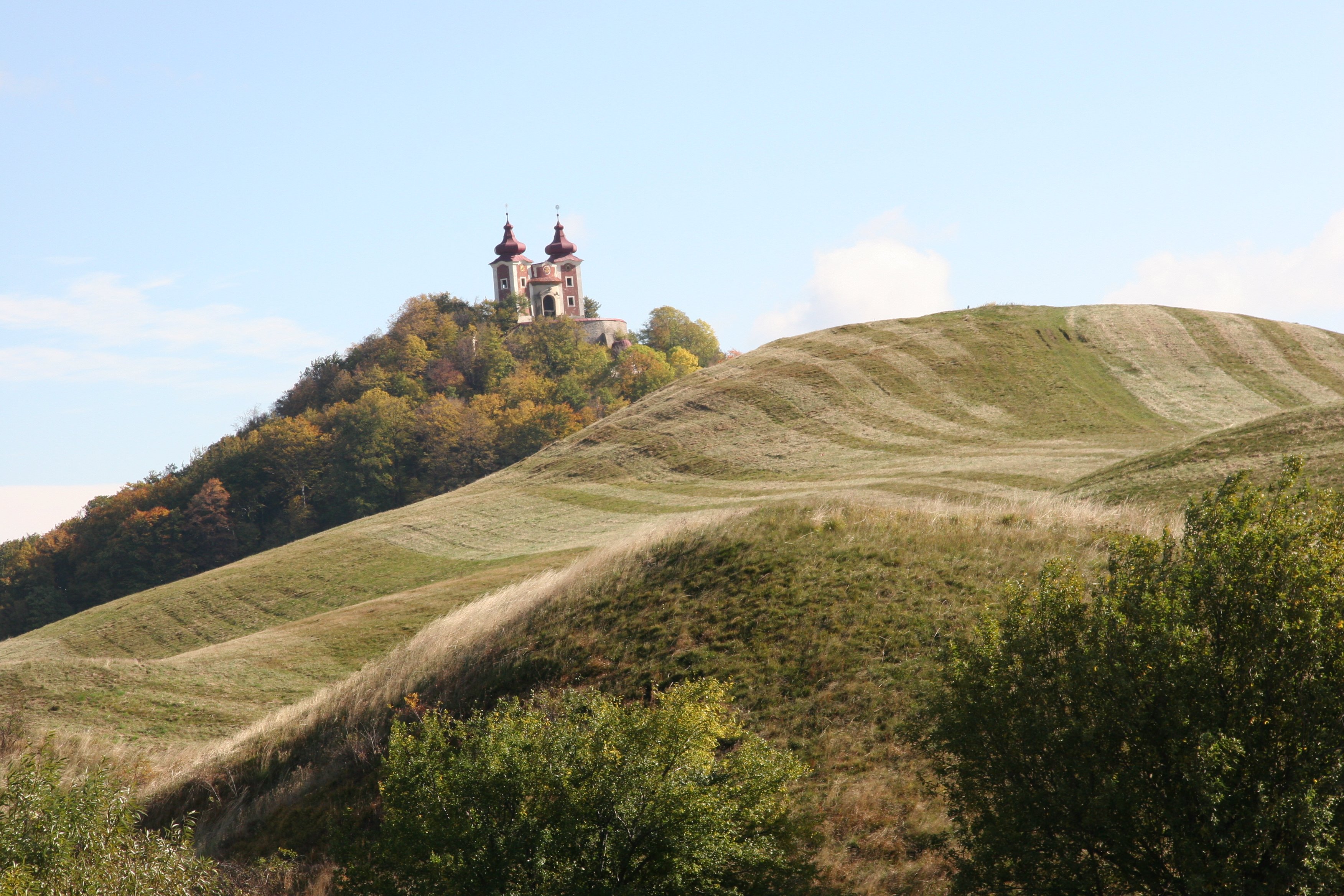 img_5946.jpg