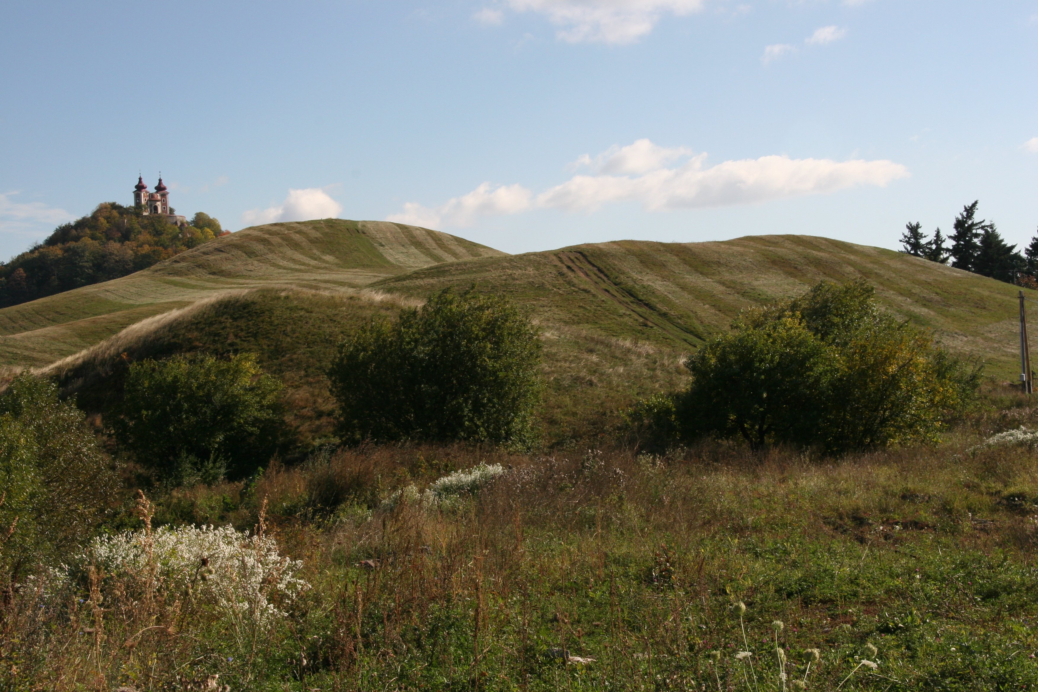 img_5947.jpg
