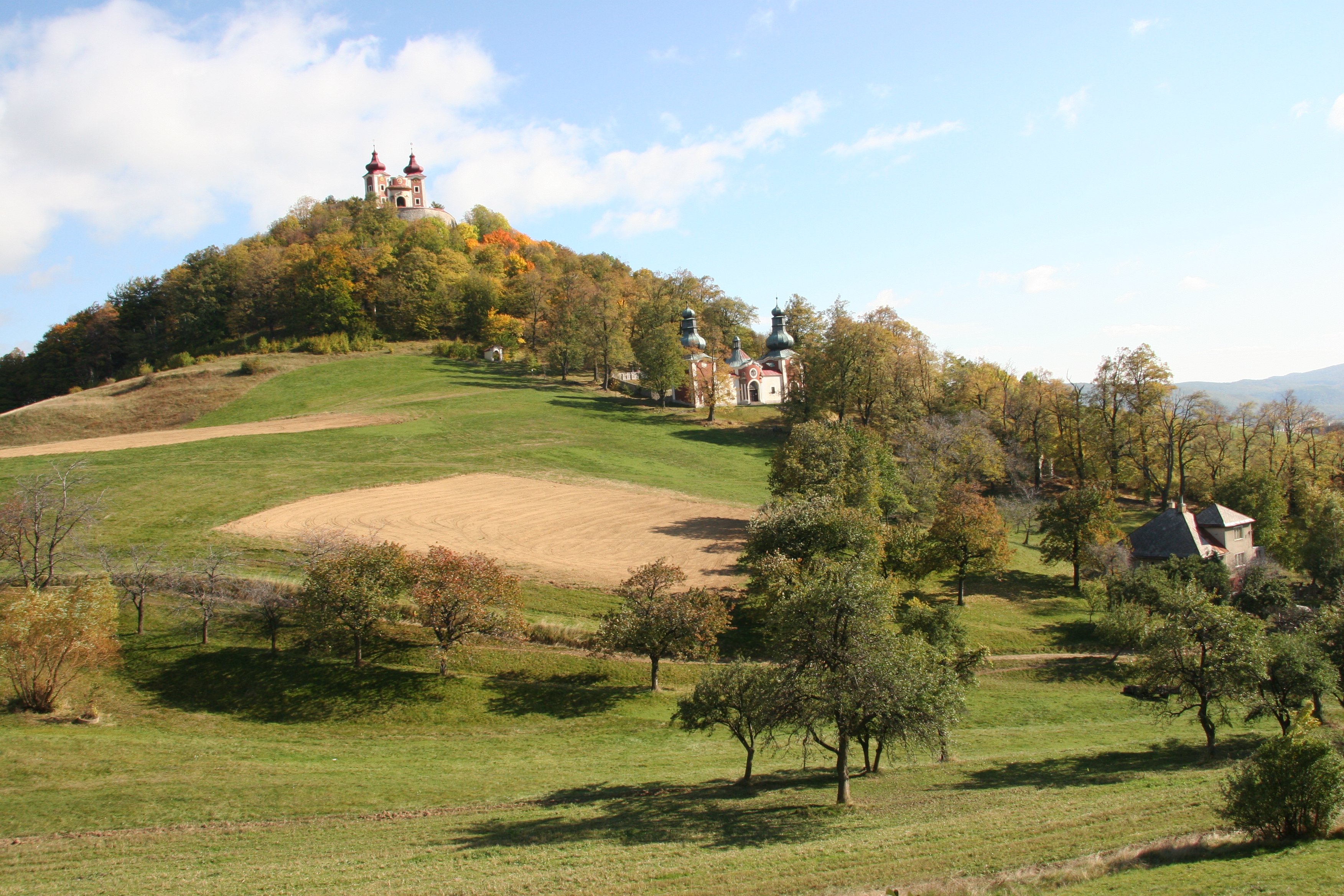 img_5950.jpg