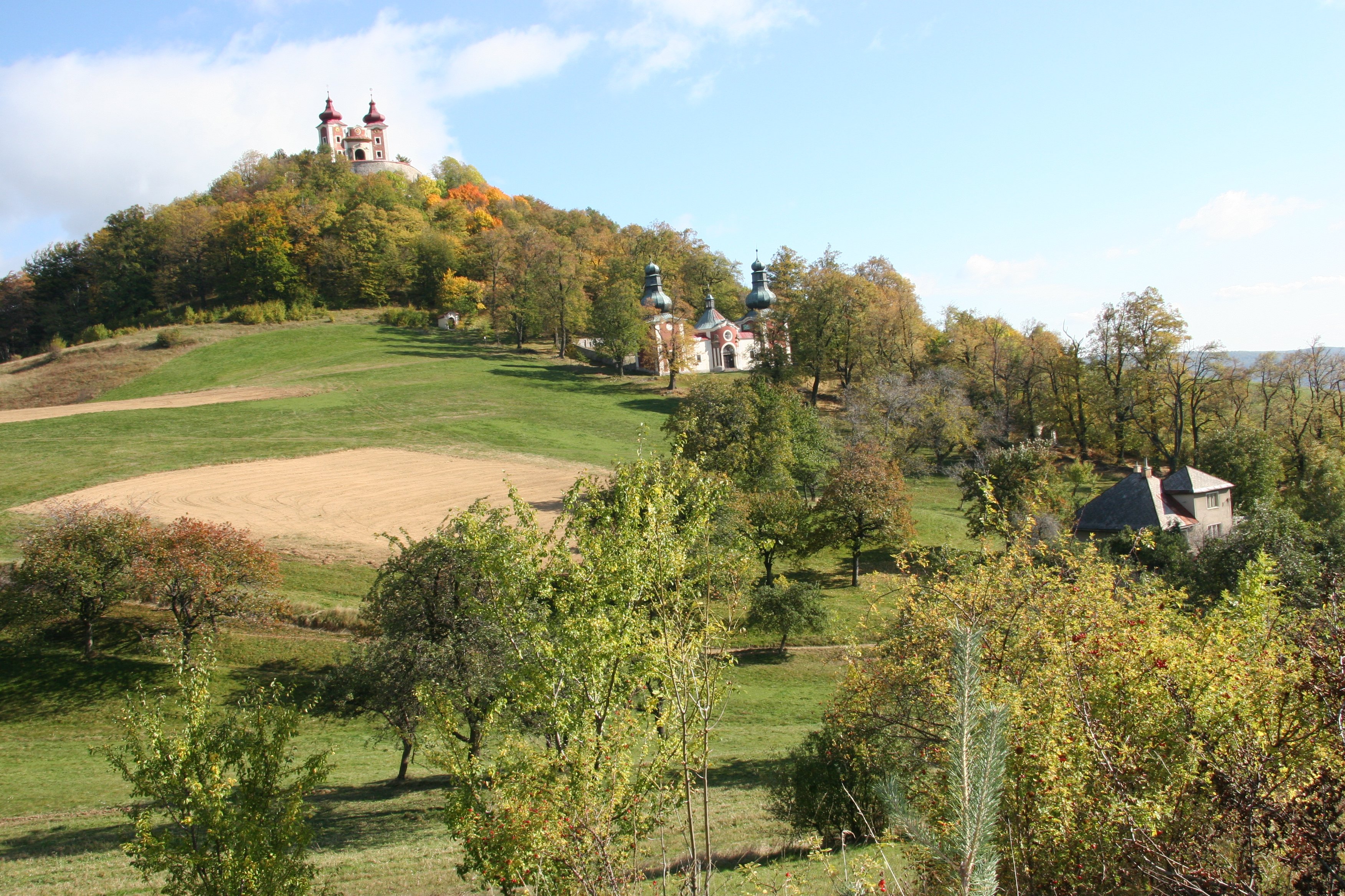 img_5971.jpg