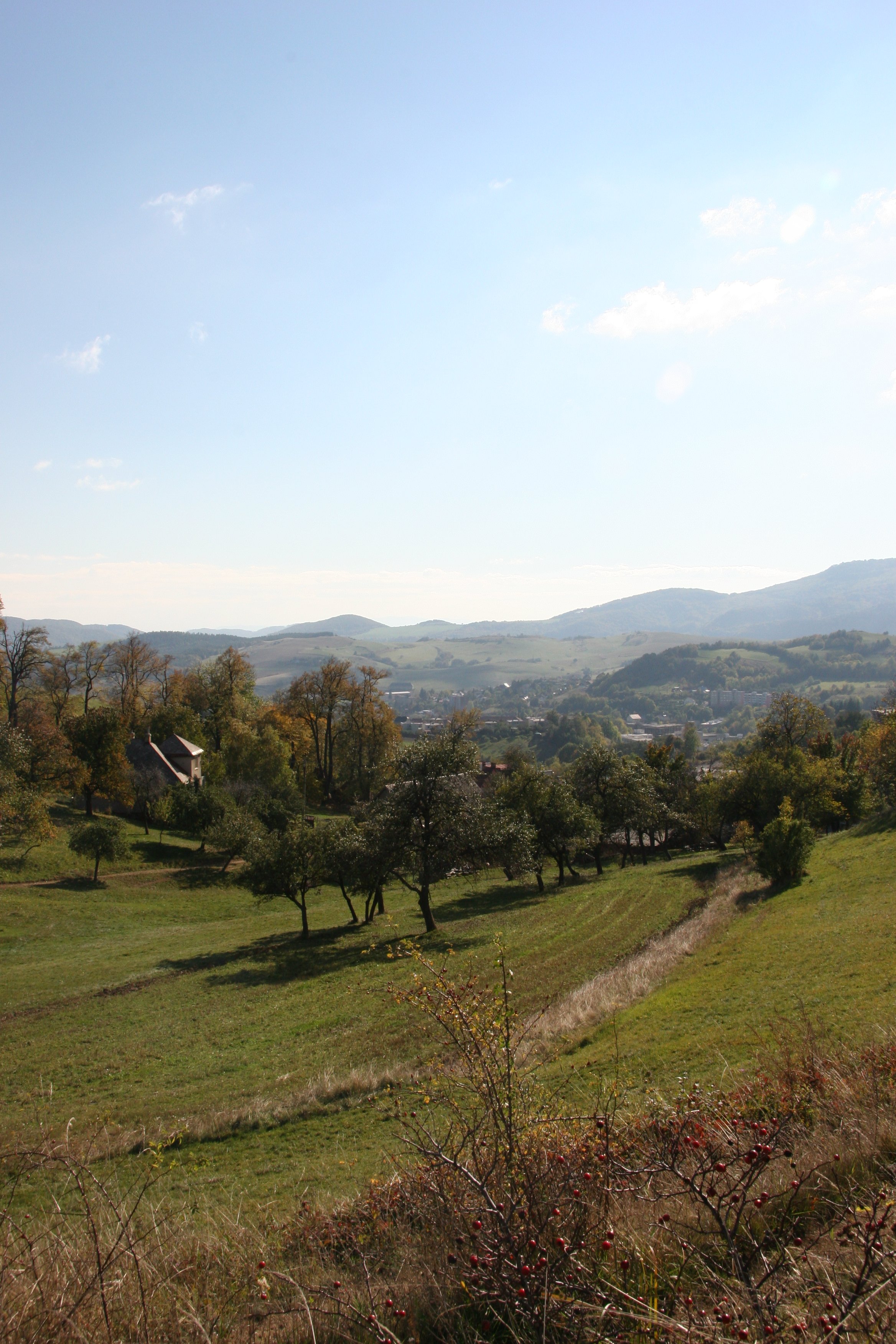 img_5986.jpg