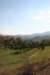img_5986_small.jpg