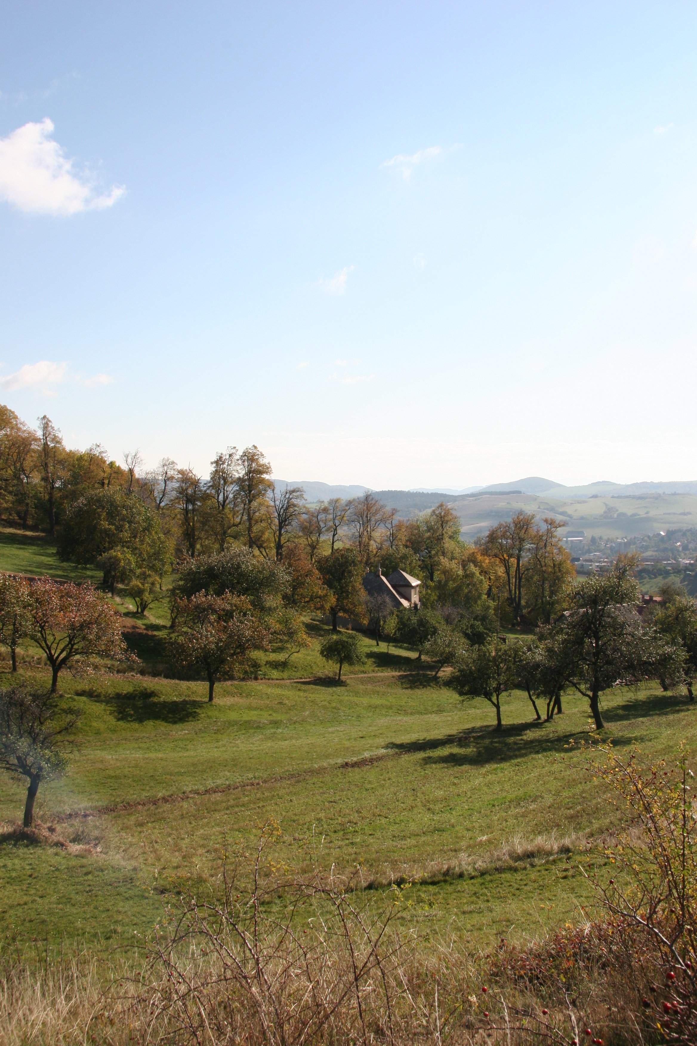 img_5987.jpg