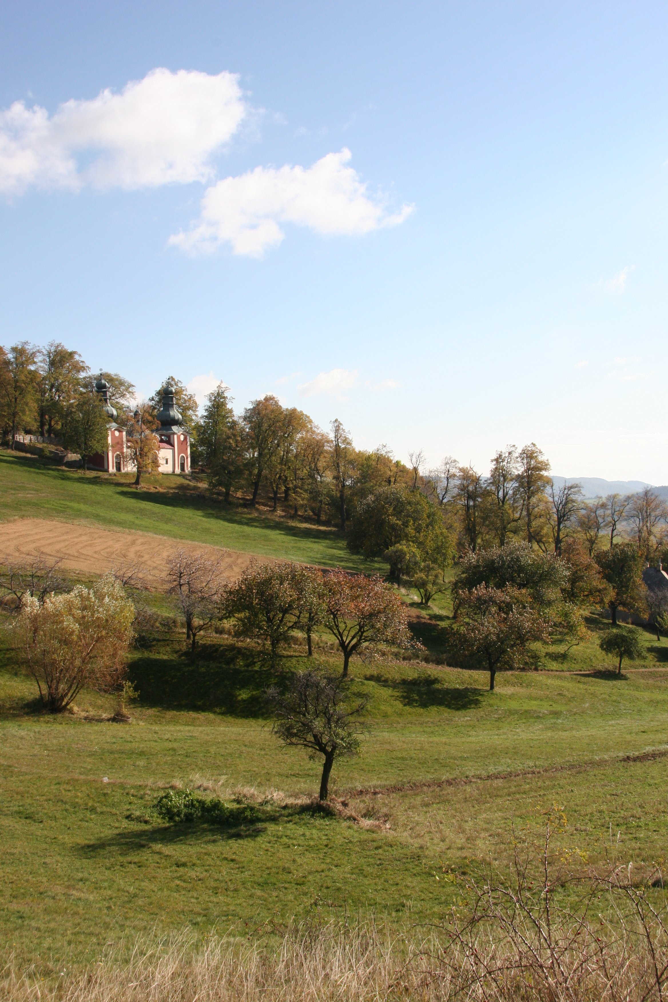 img_5988.jpg