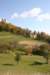 img_5989_small.jpg