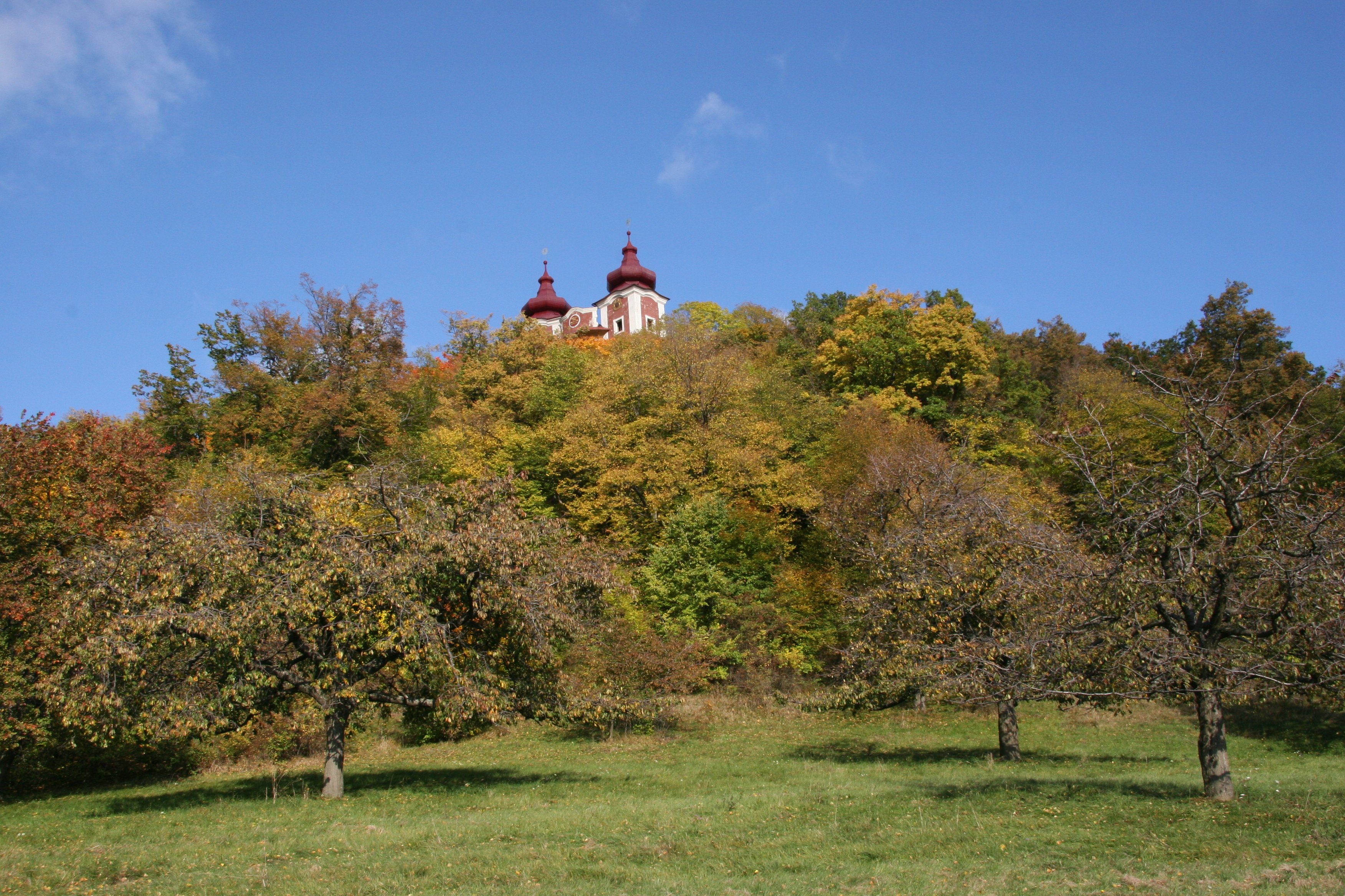 img_6126.jpg