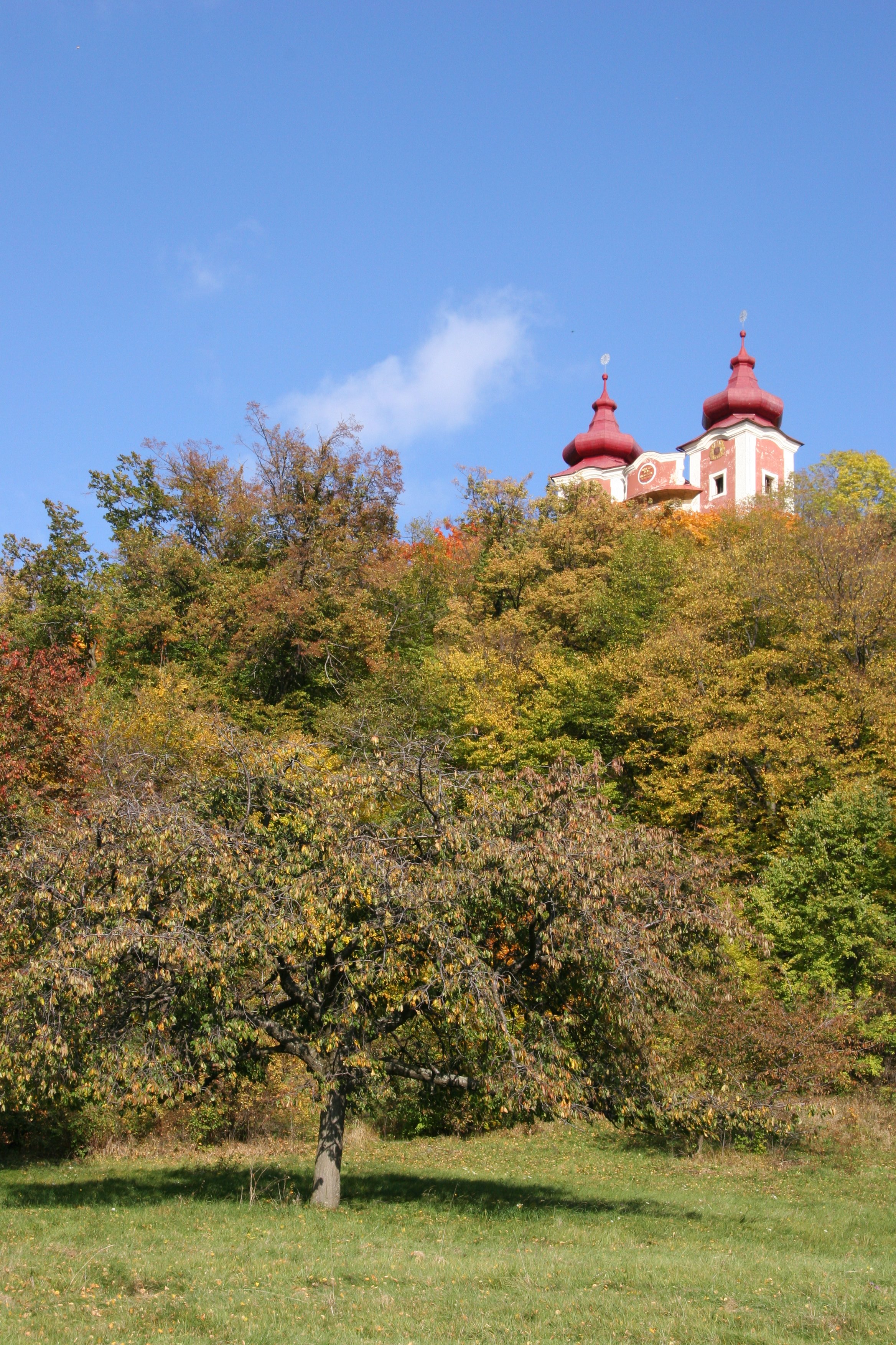 img_6128.jpg
