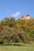 img_6128_small.jpg