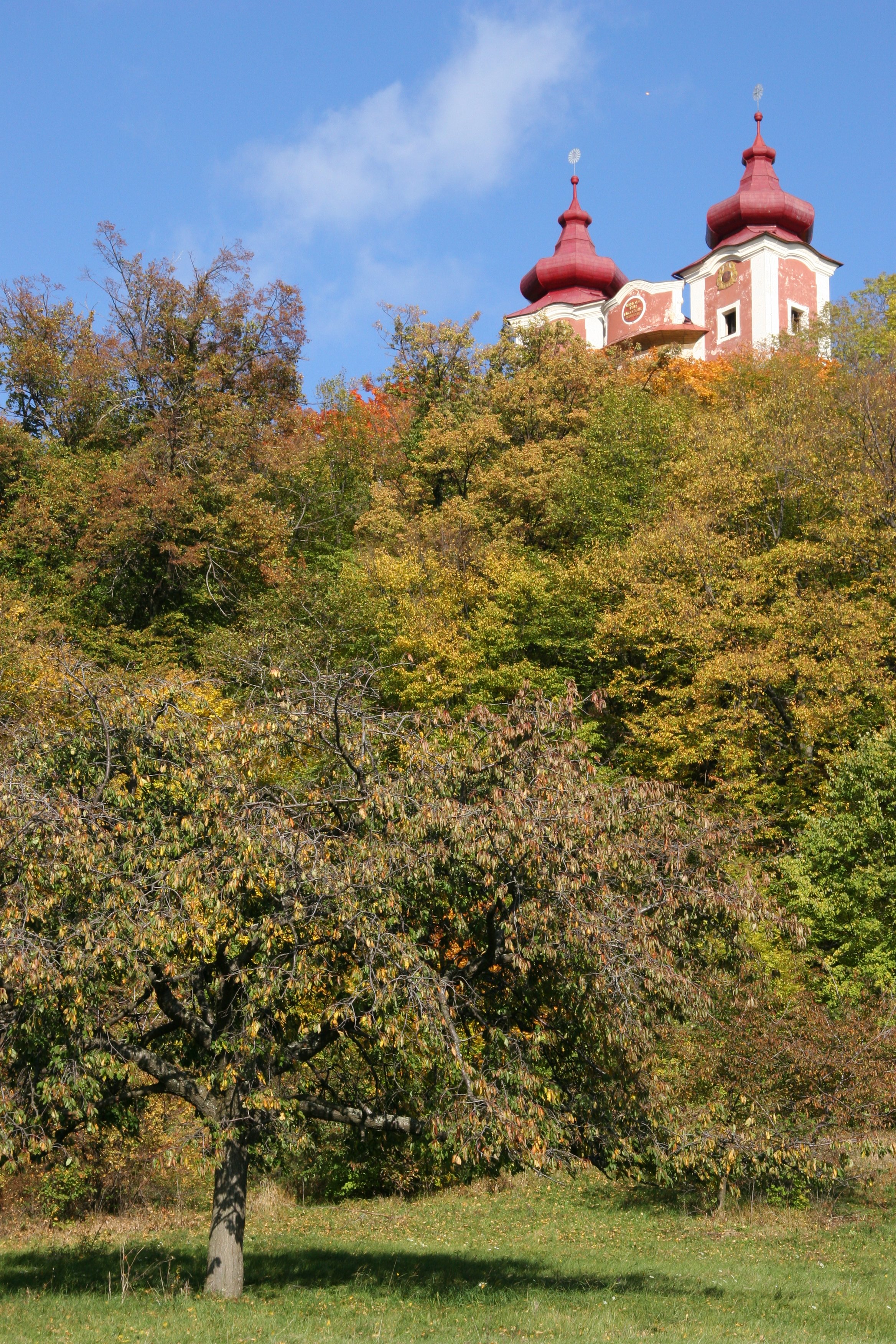 img_6129.jpg