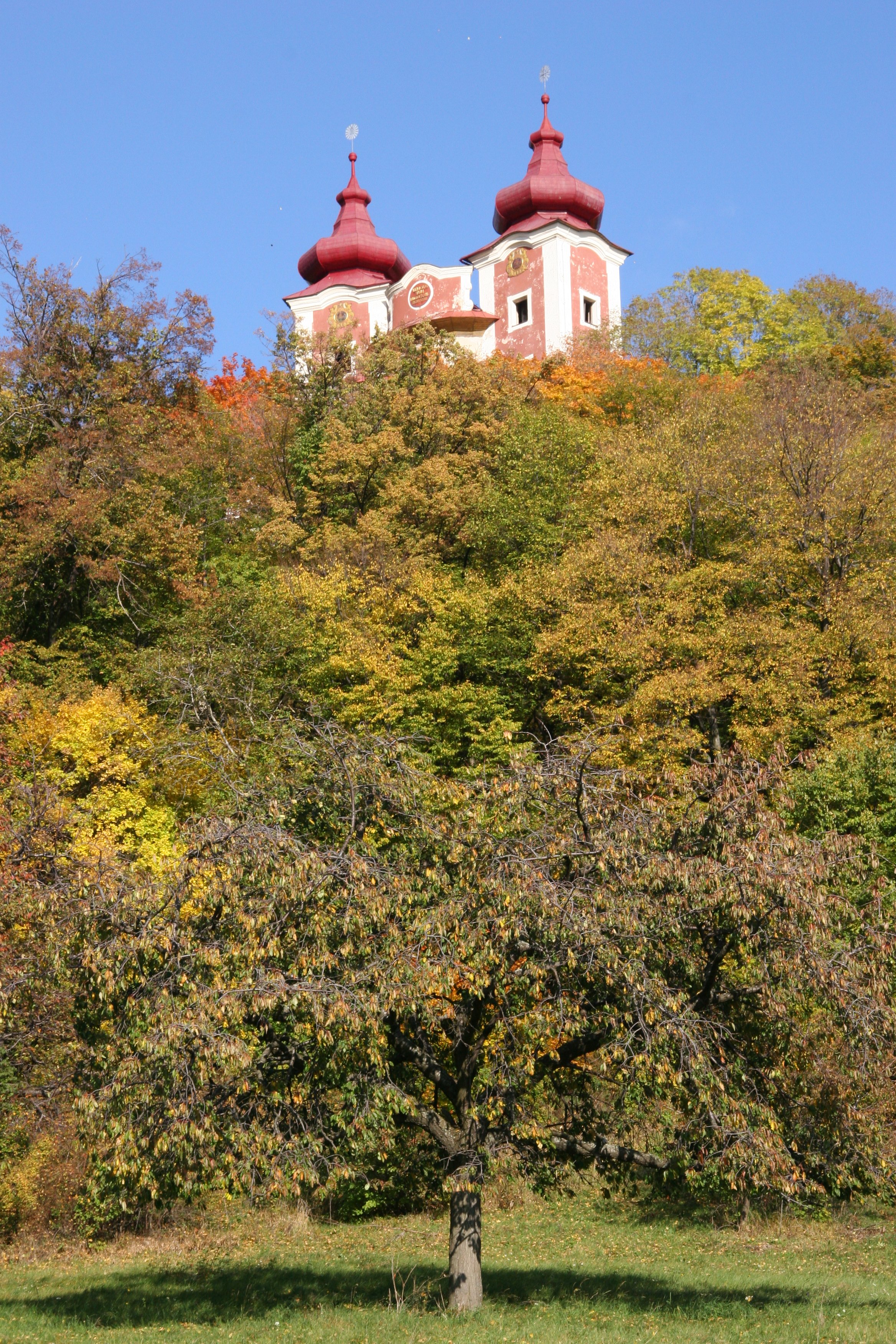img_6131.jpg
