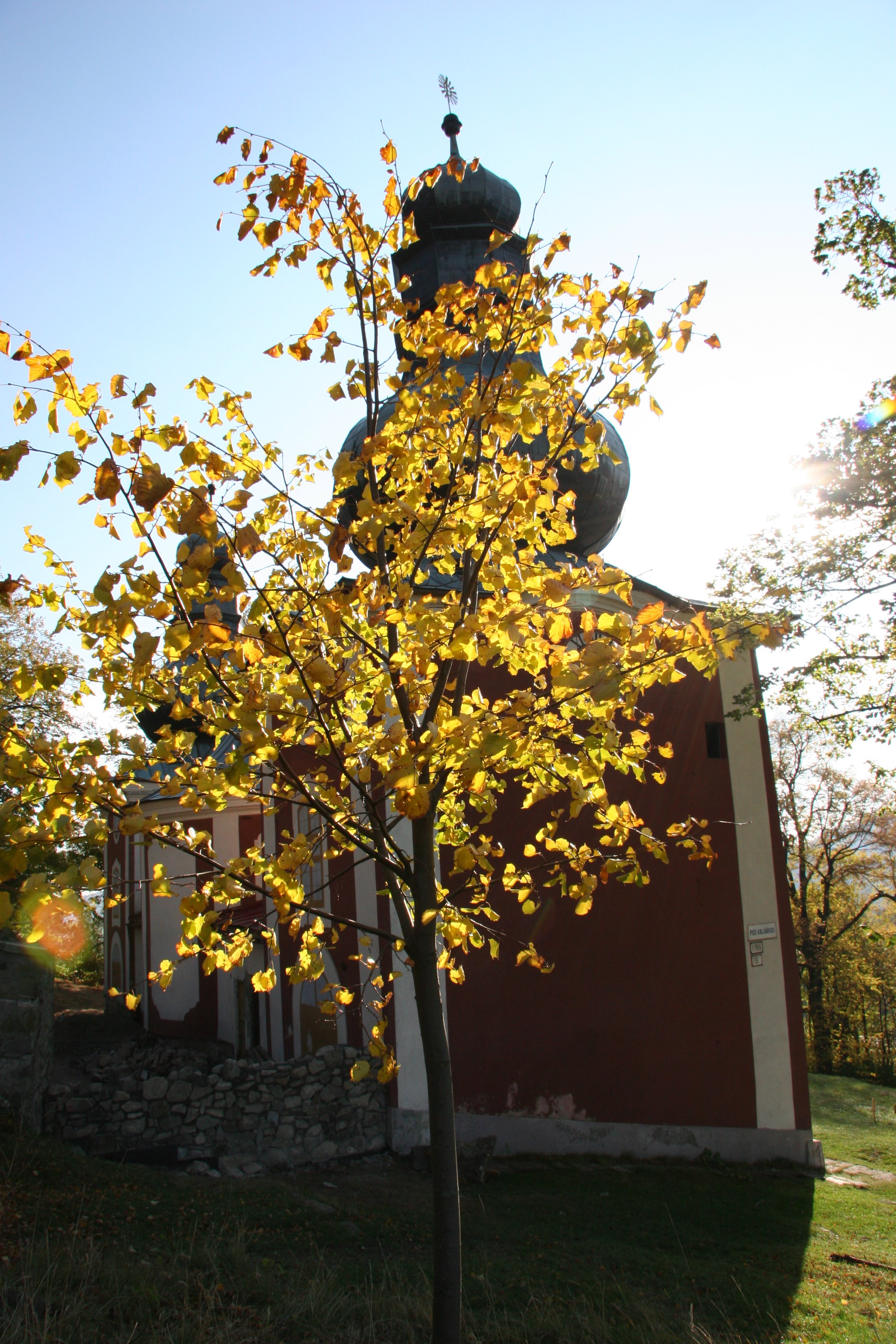 img_6142.jpg
