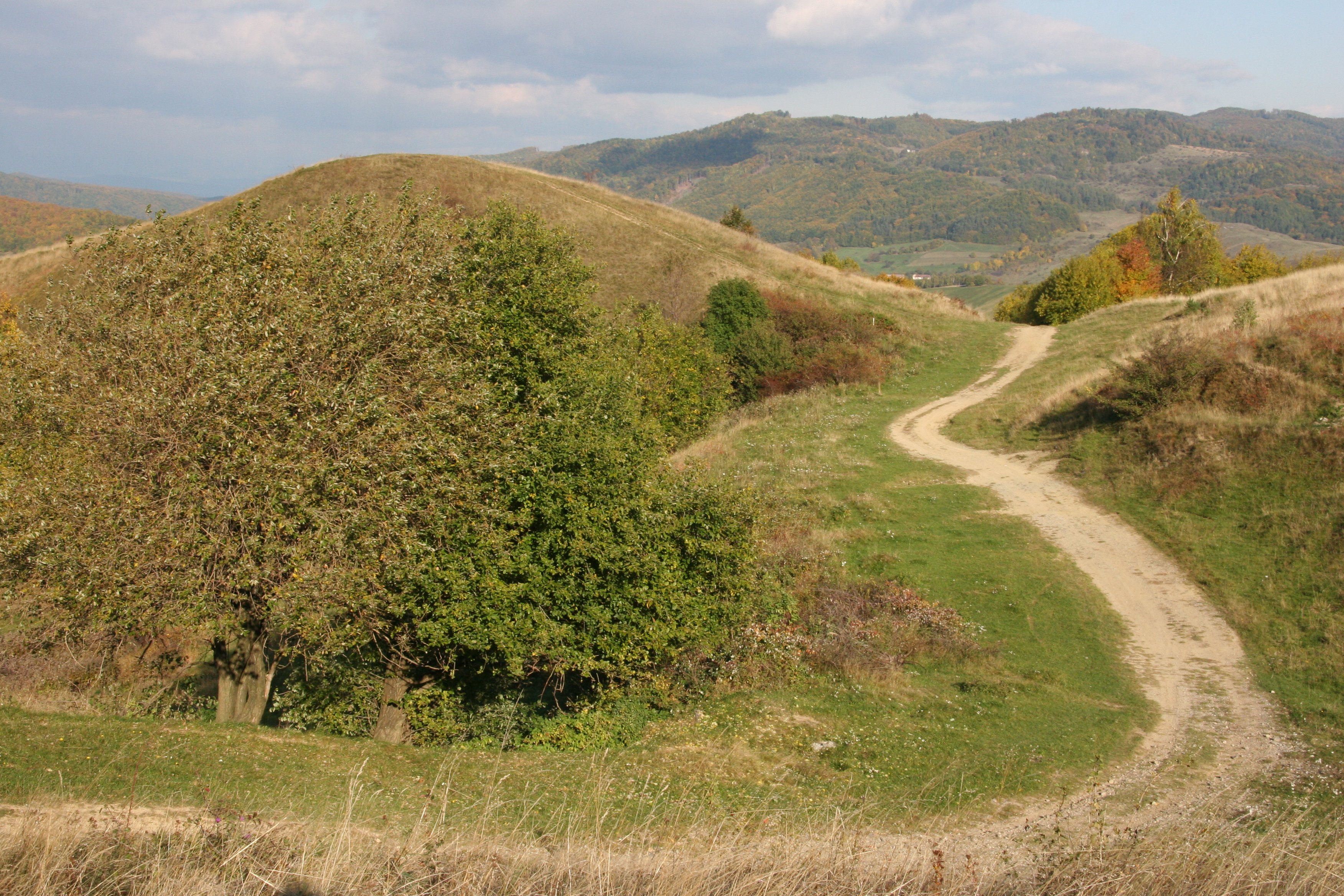 img_6155.jpg