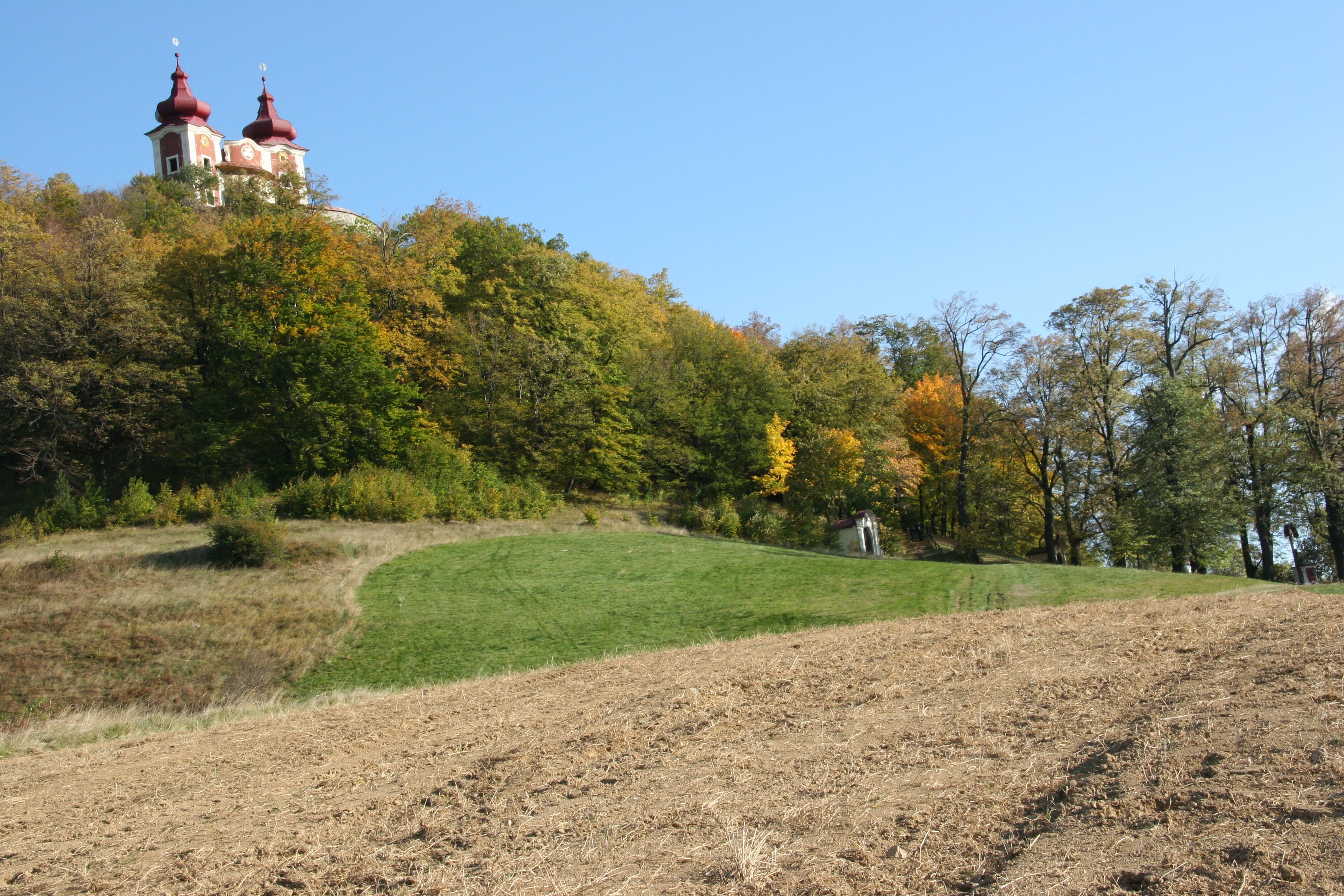img_6175.jpg