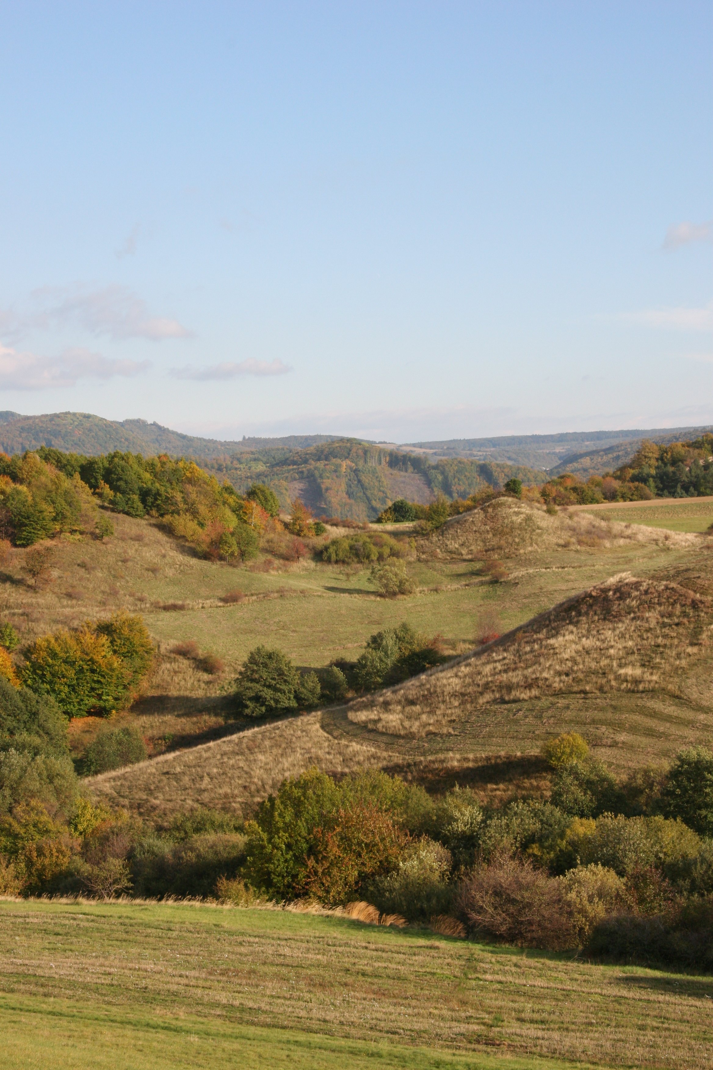 img_6186.jpg