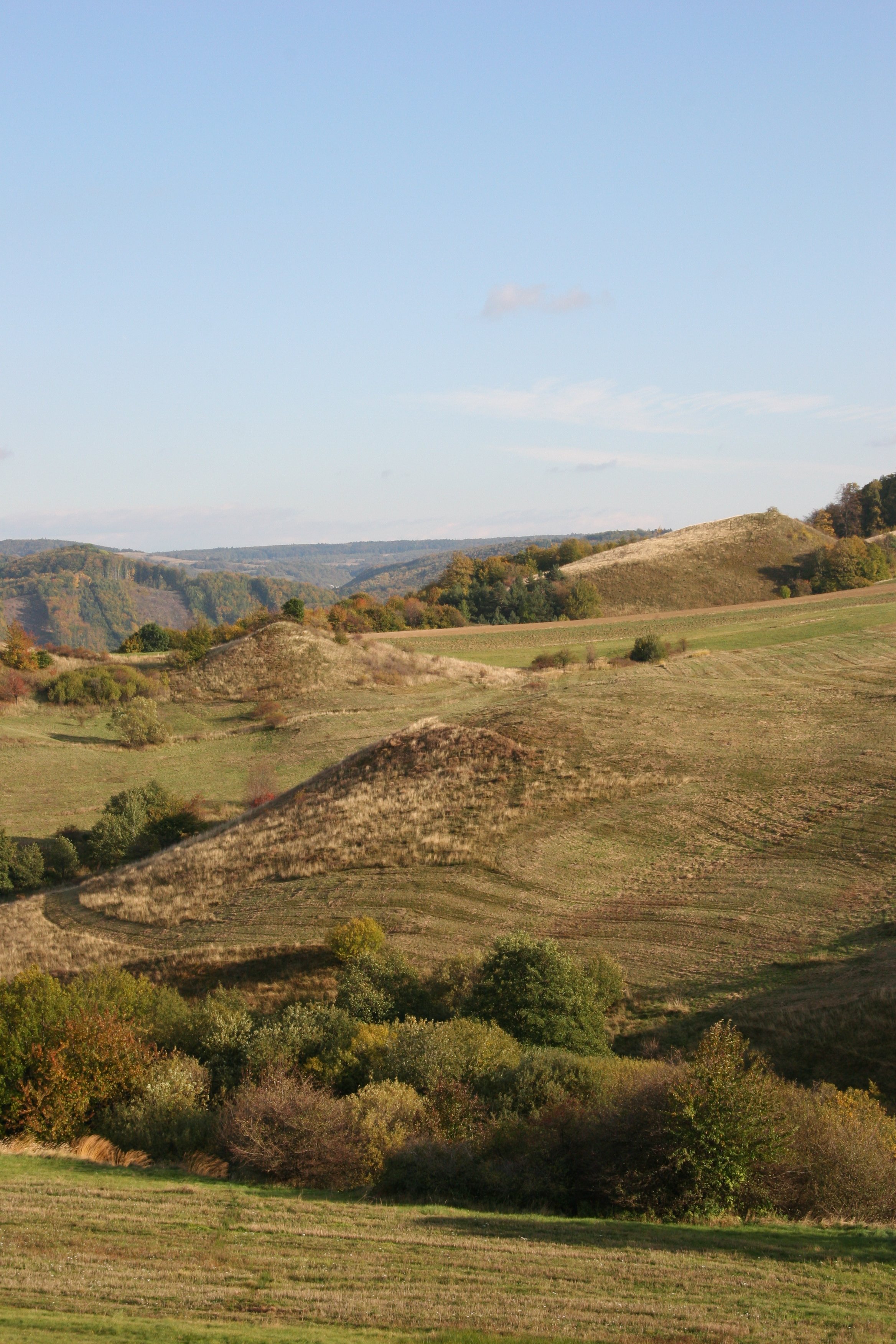 img_6187.jpg