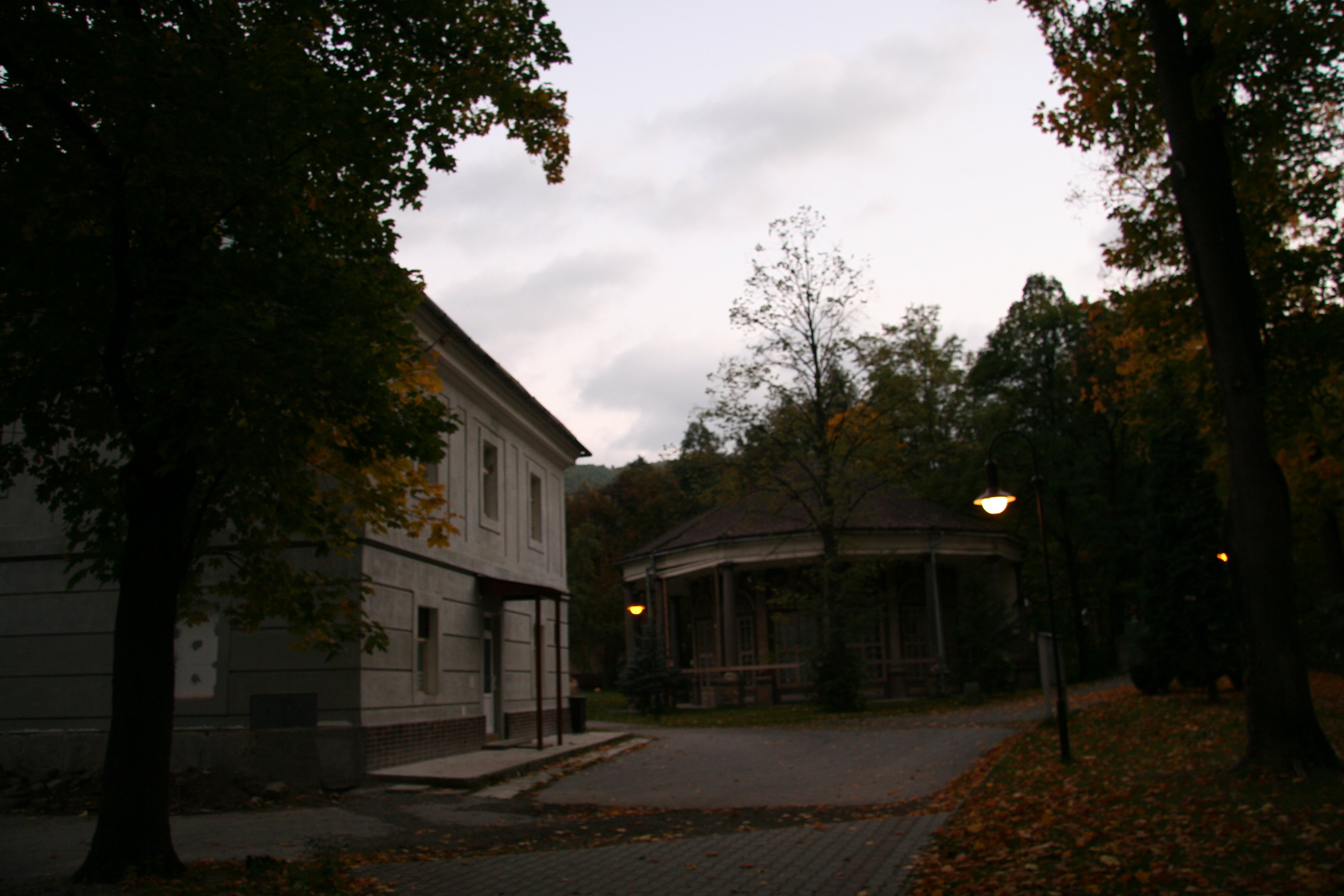 img_6205.jpg