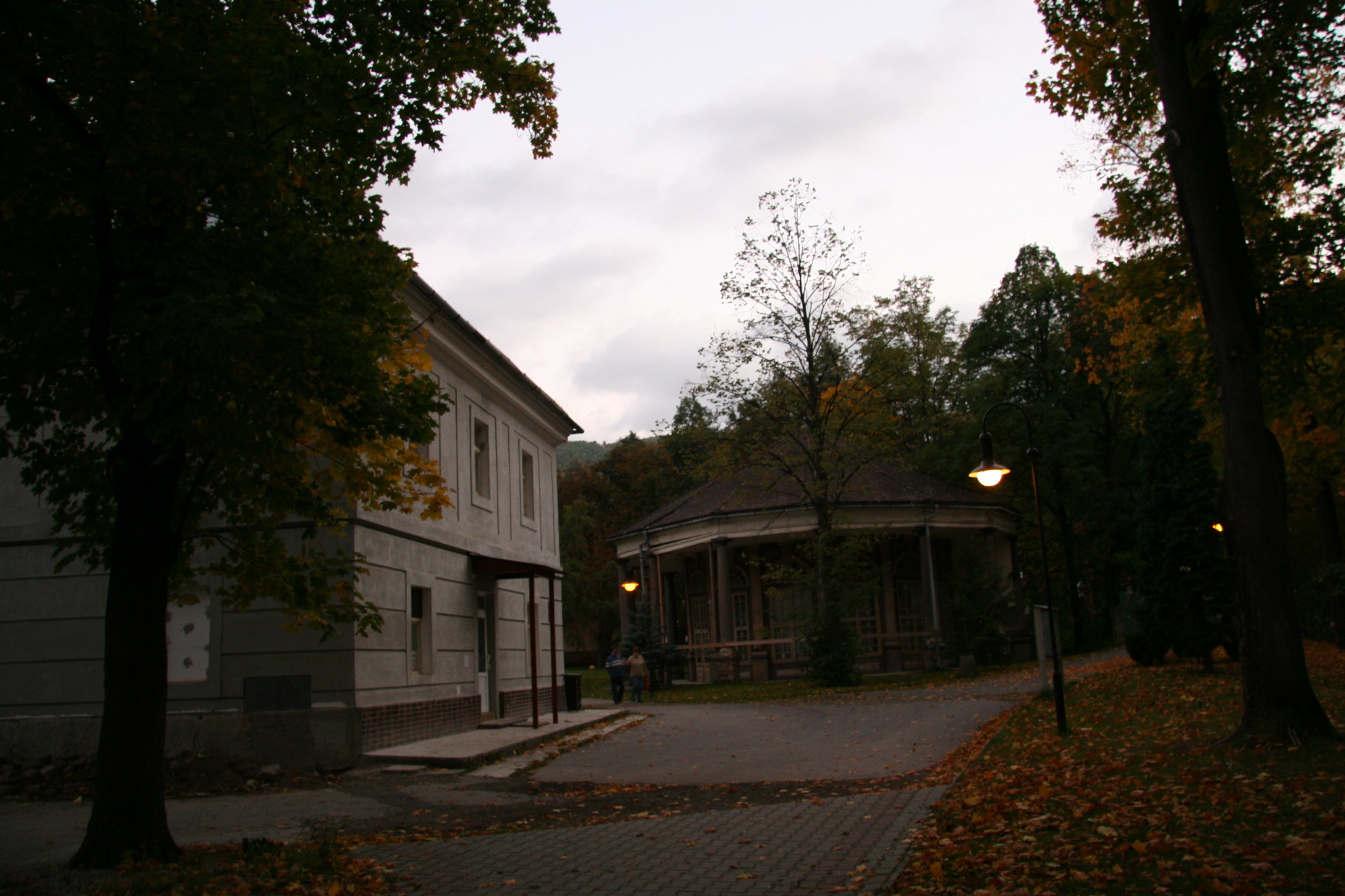 img_6206.jpg