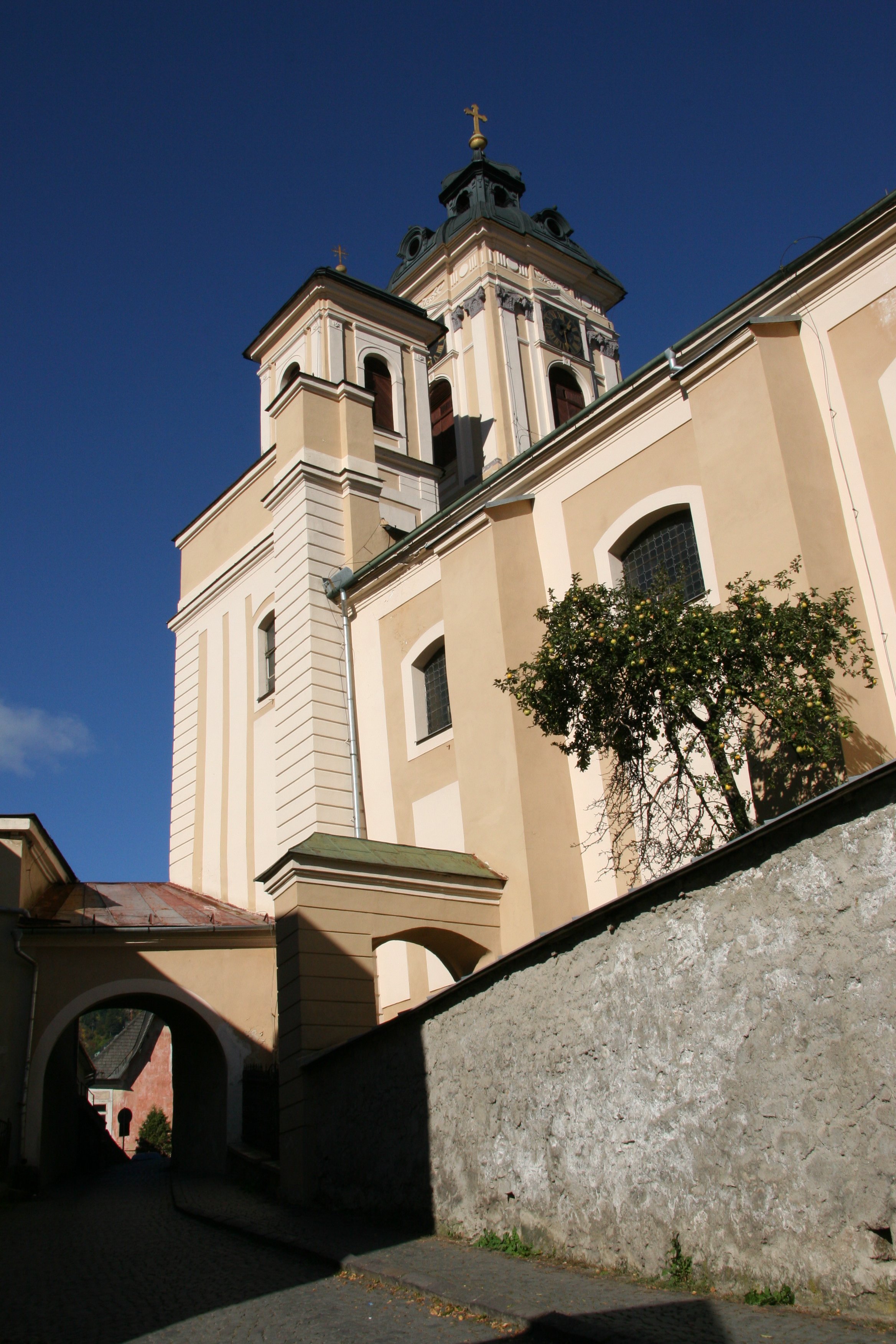 img_6356.jpg