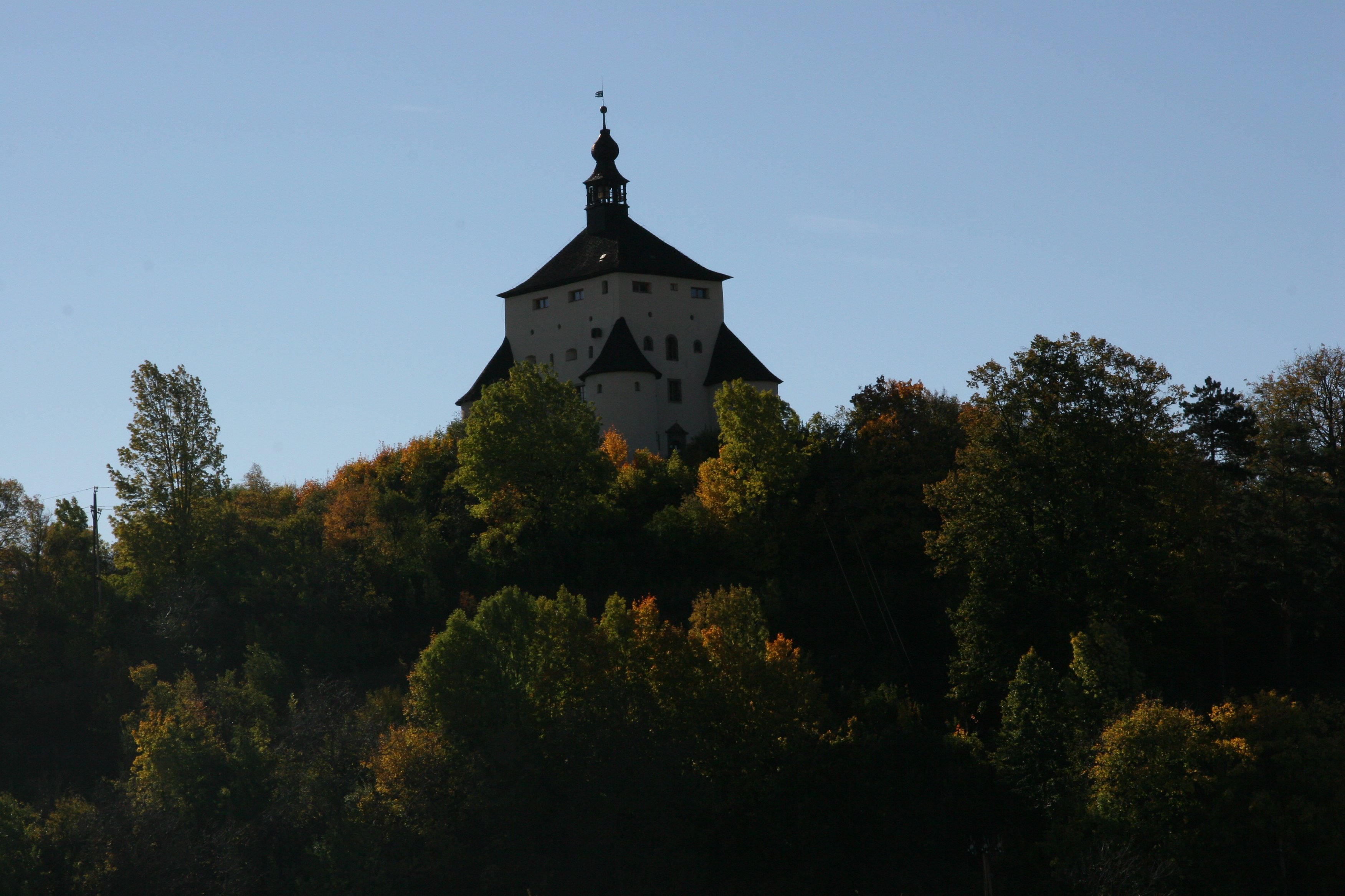 img_6365.jpg