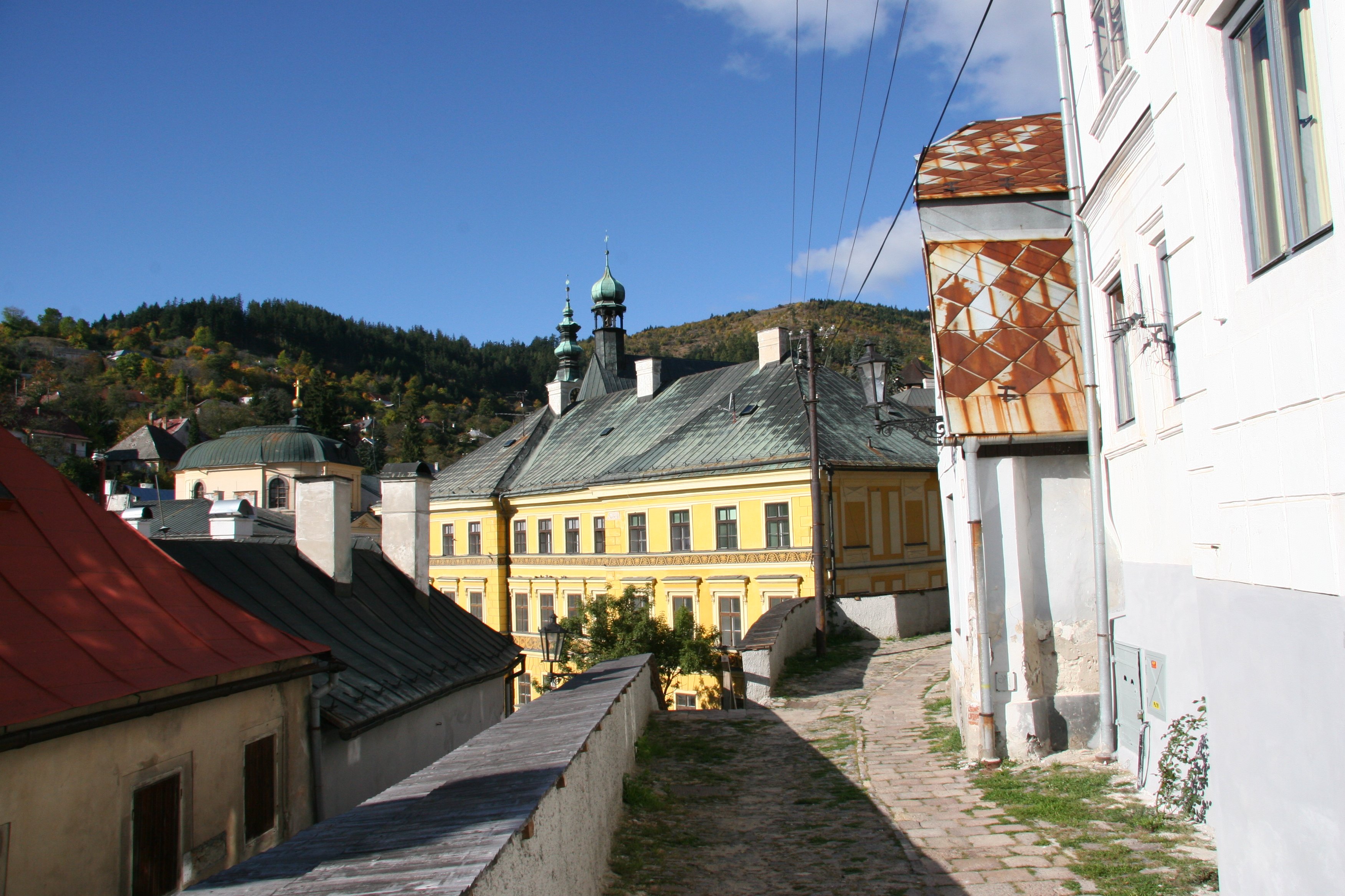 img_6383.jpg