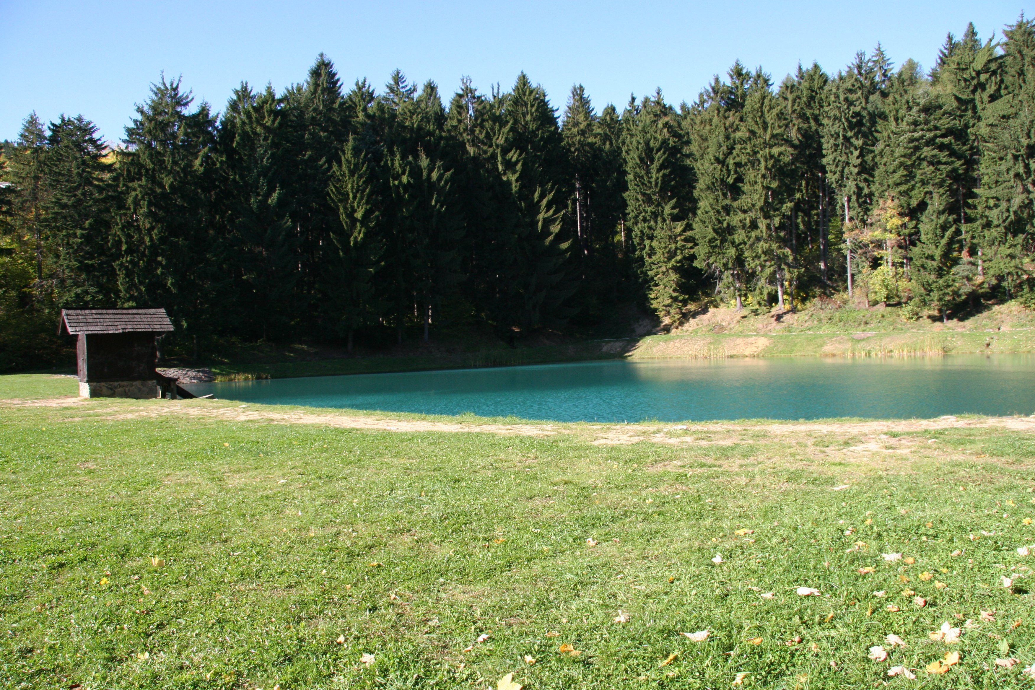 img_6427.jpg
