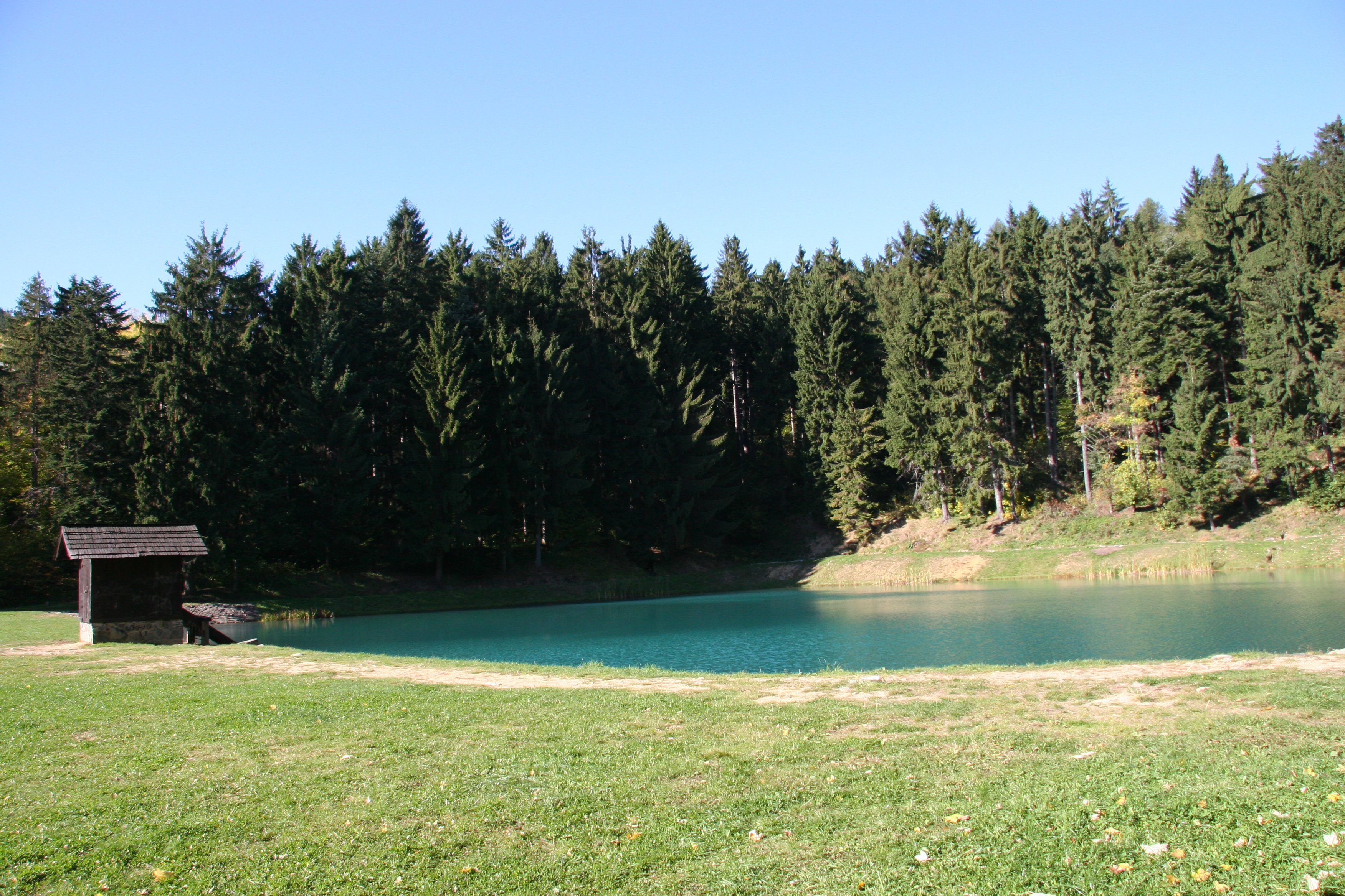 img_6428.jpg