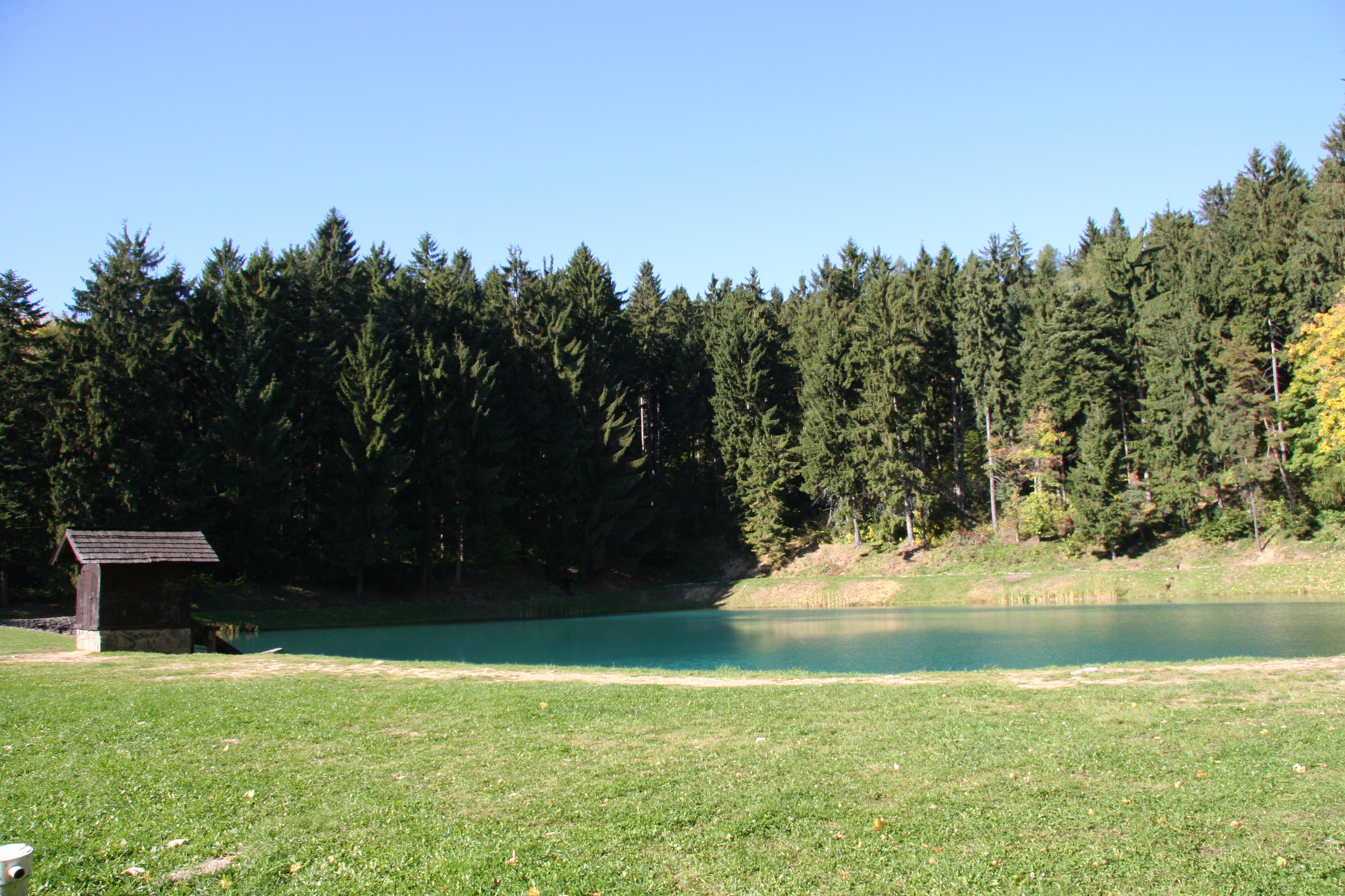 img_6429.jpg