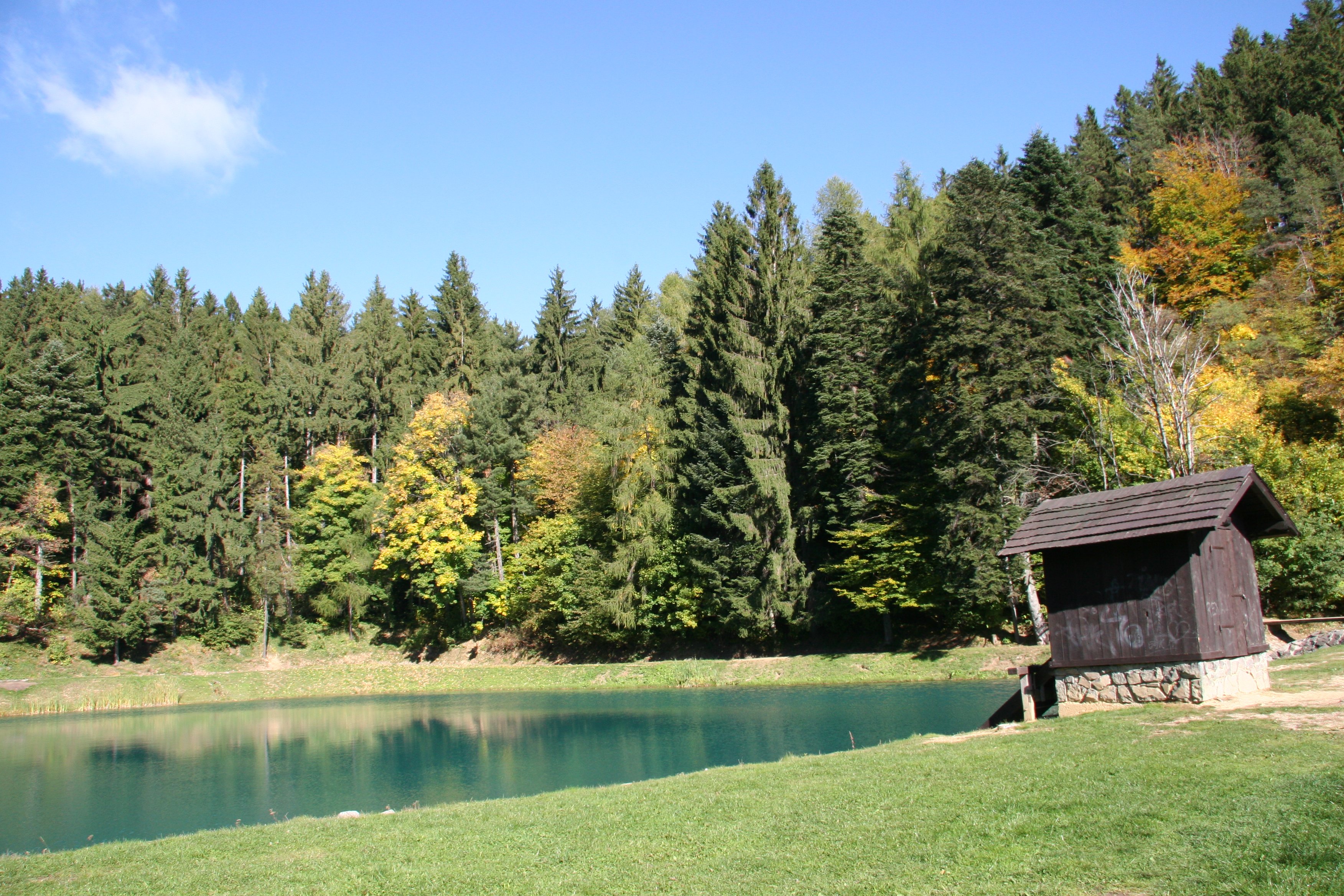 img_6430.jpg