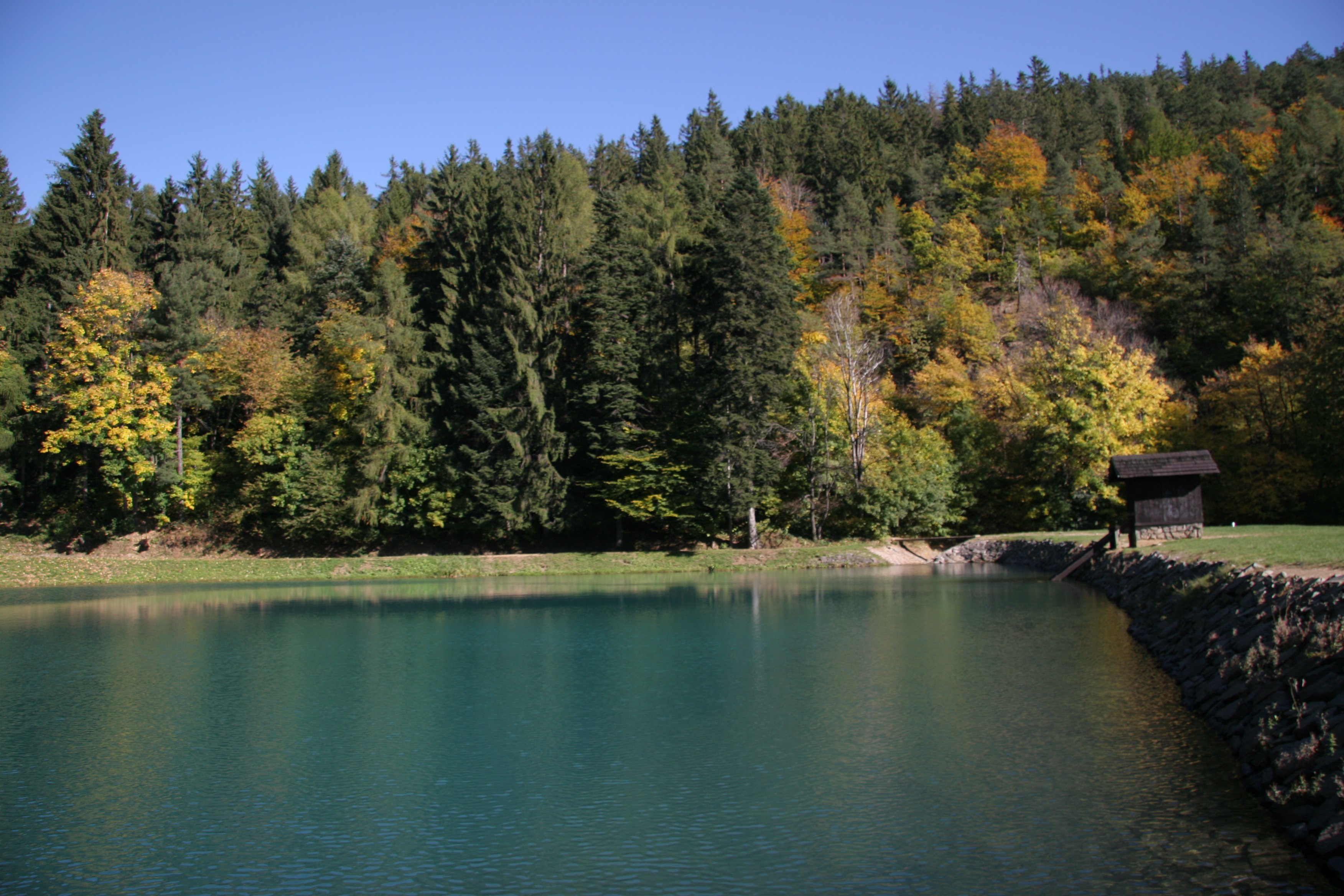 img_6449.jpg