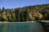 img_6450_small.jpg