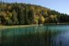 img_6461_small.jpg