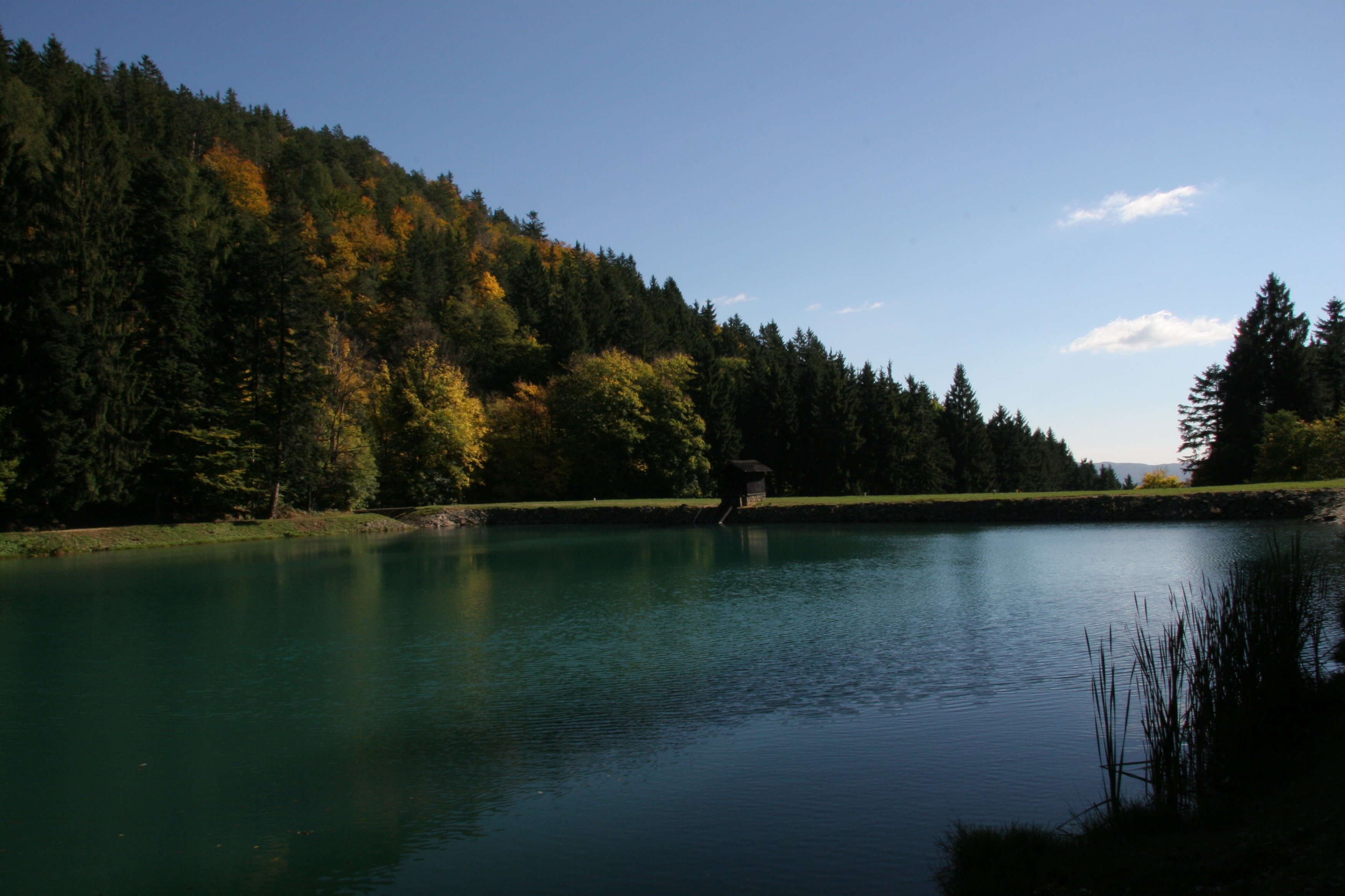 img_6467.jpg