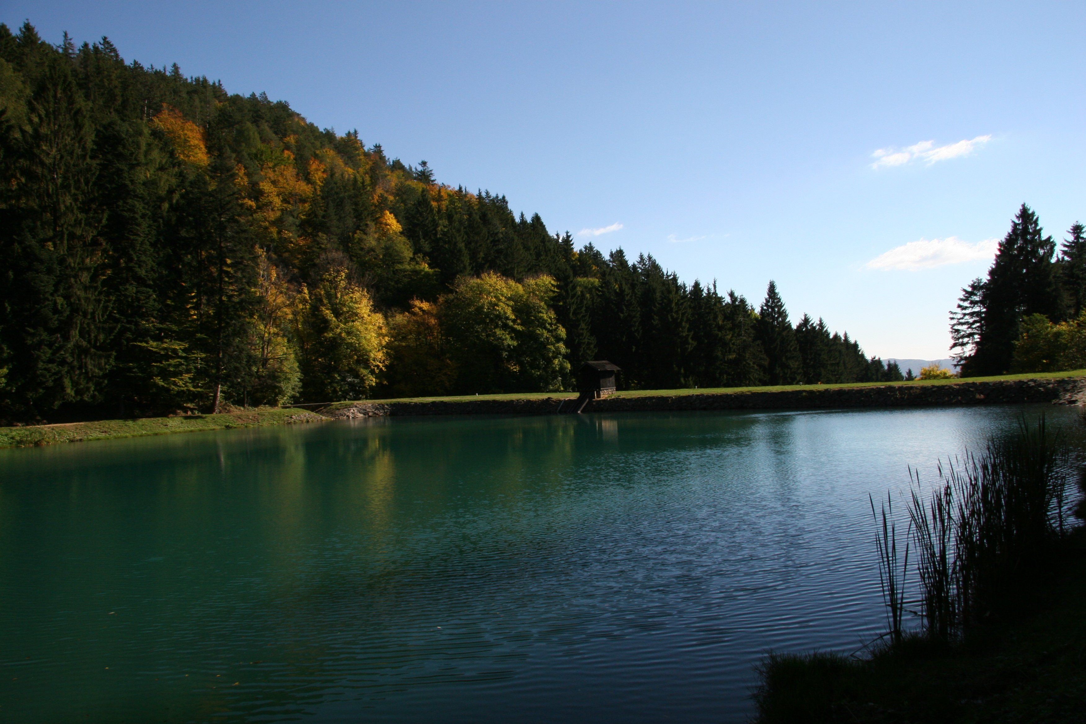 img_6469.jpg