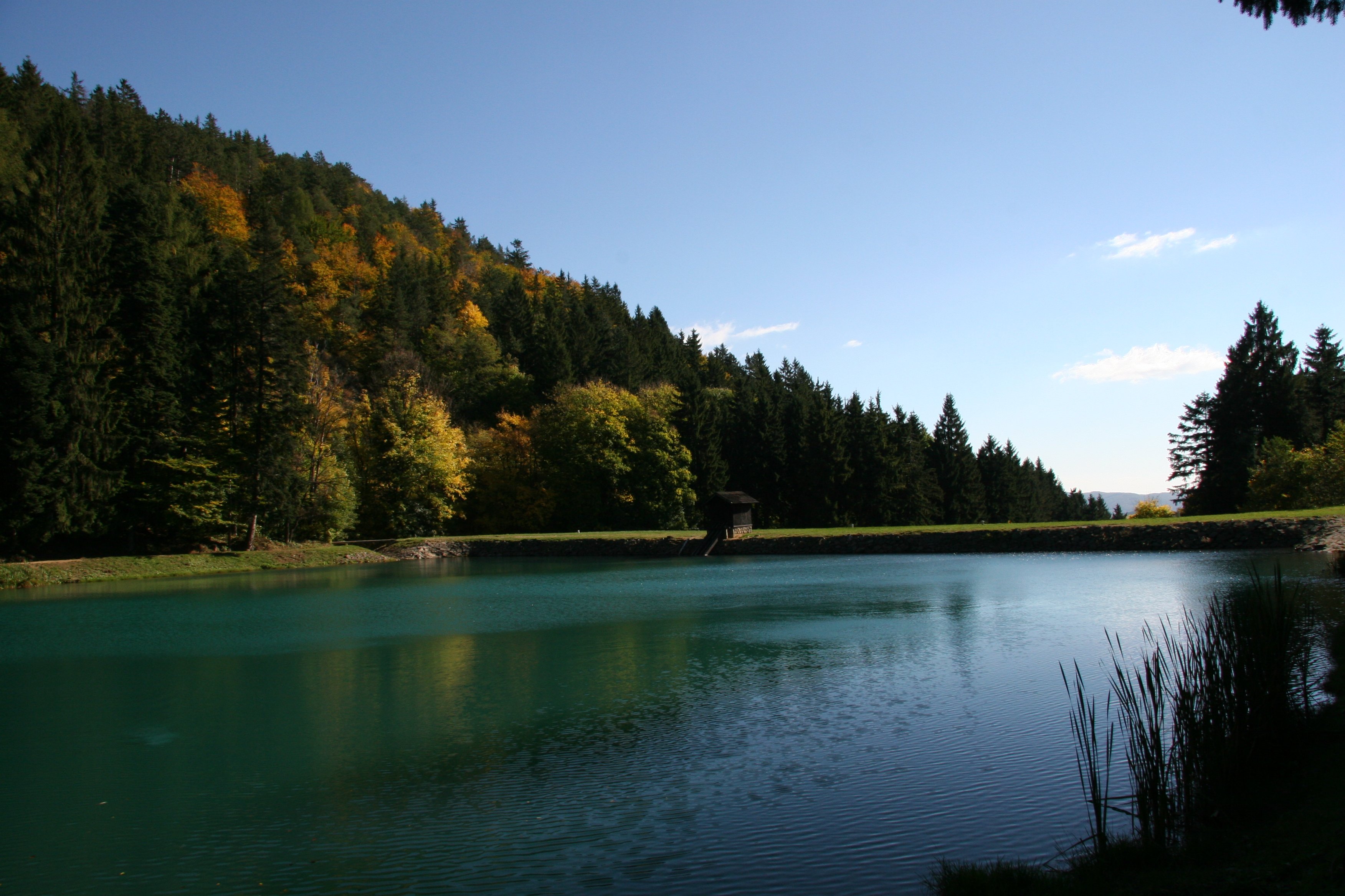 img_6471.jpg