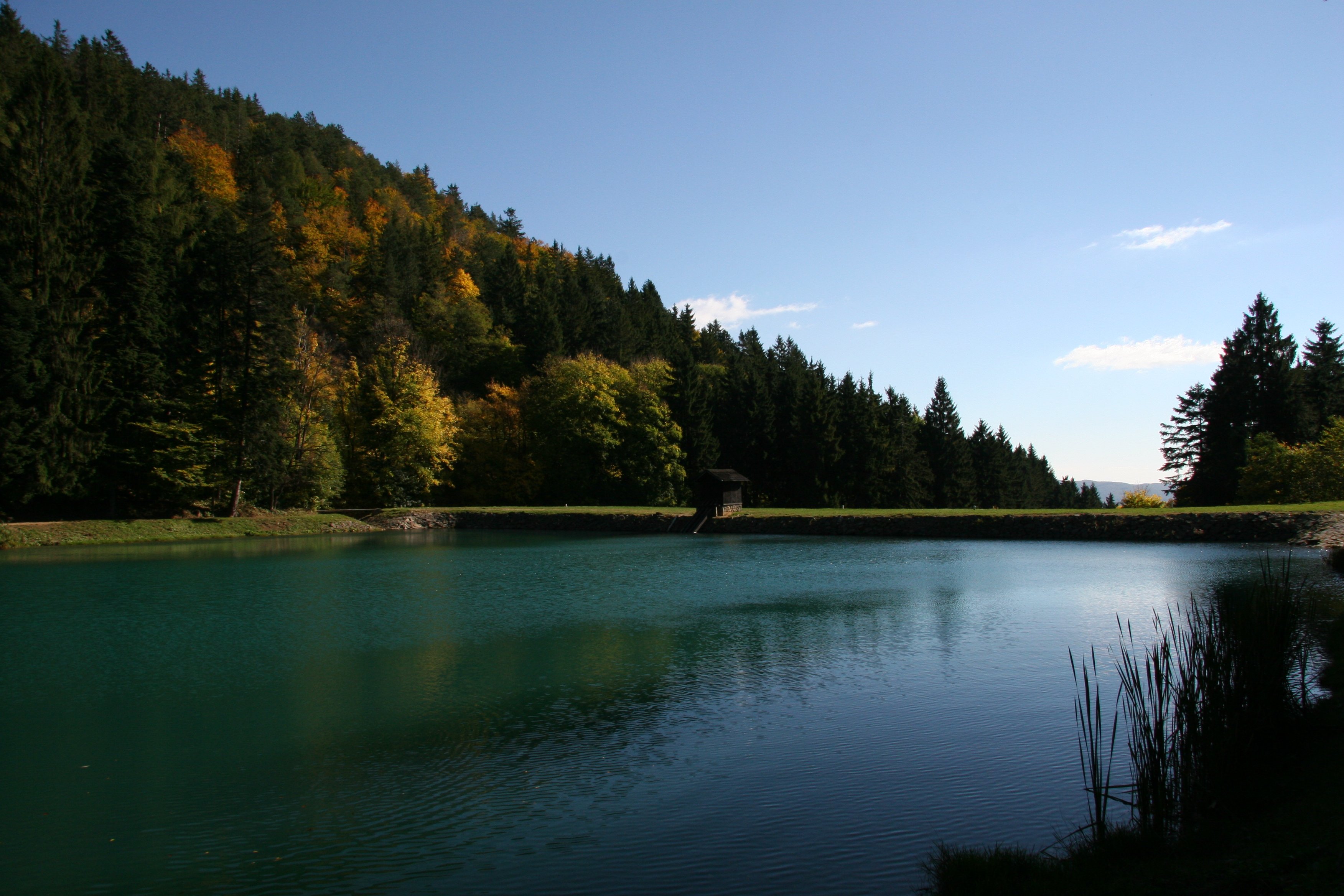 img_6472.jpg
