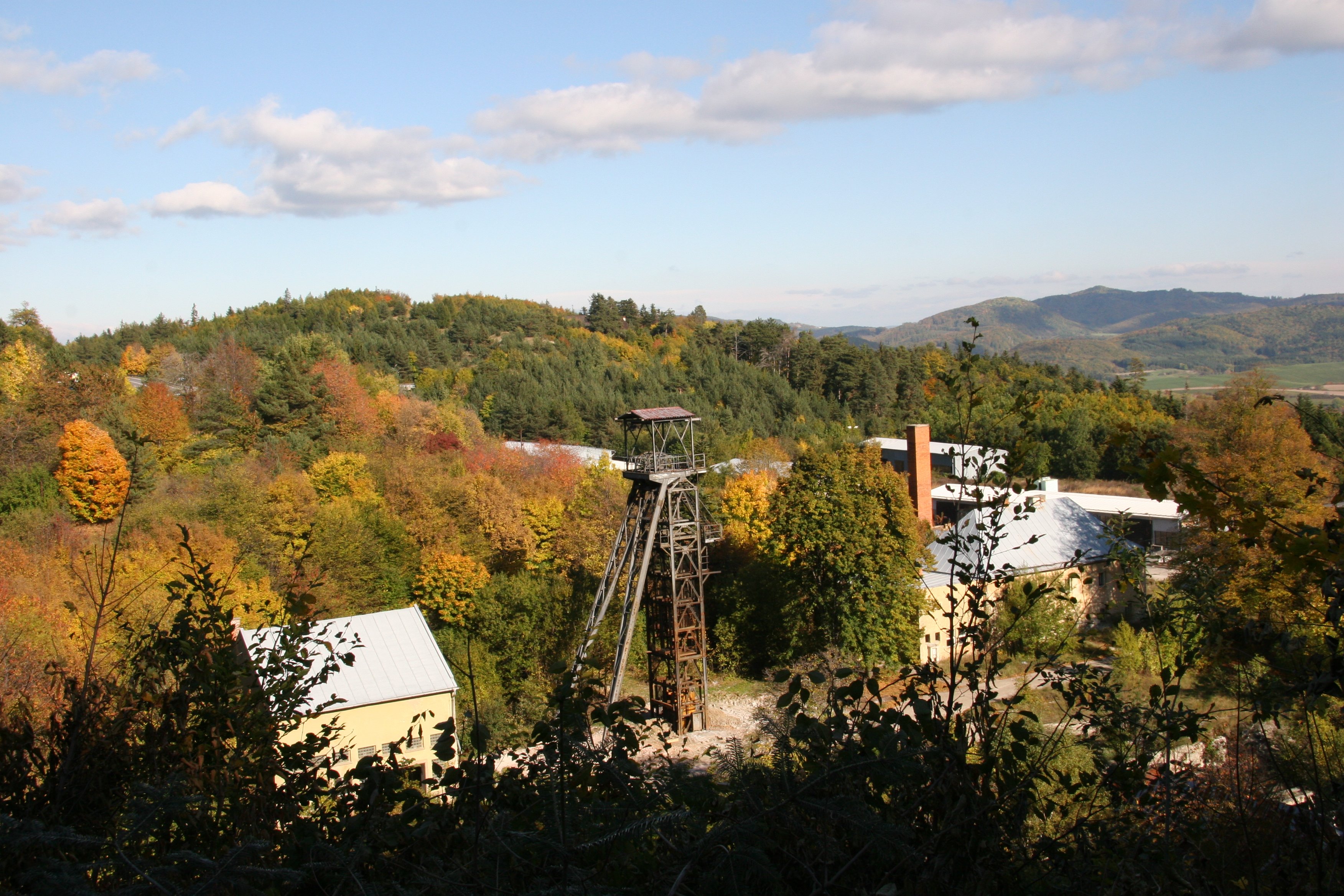 img_6490.jpg