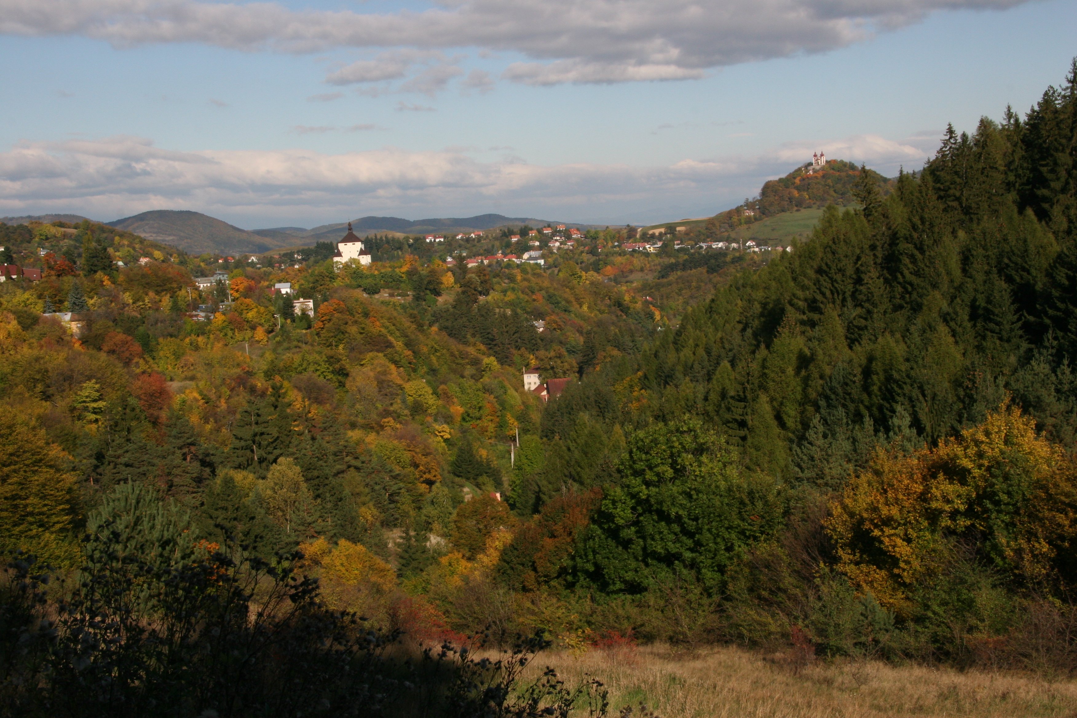 img_6497.jpg