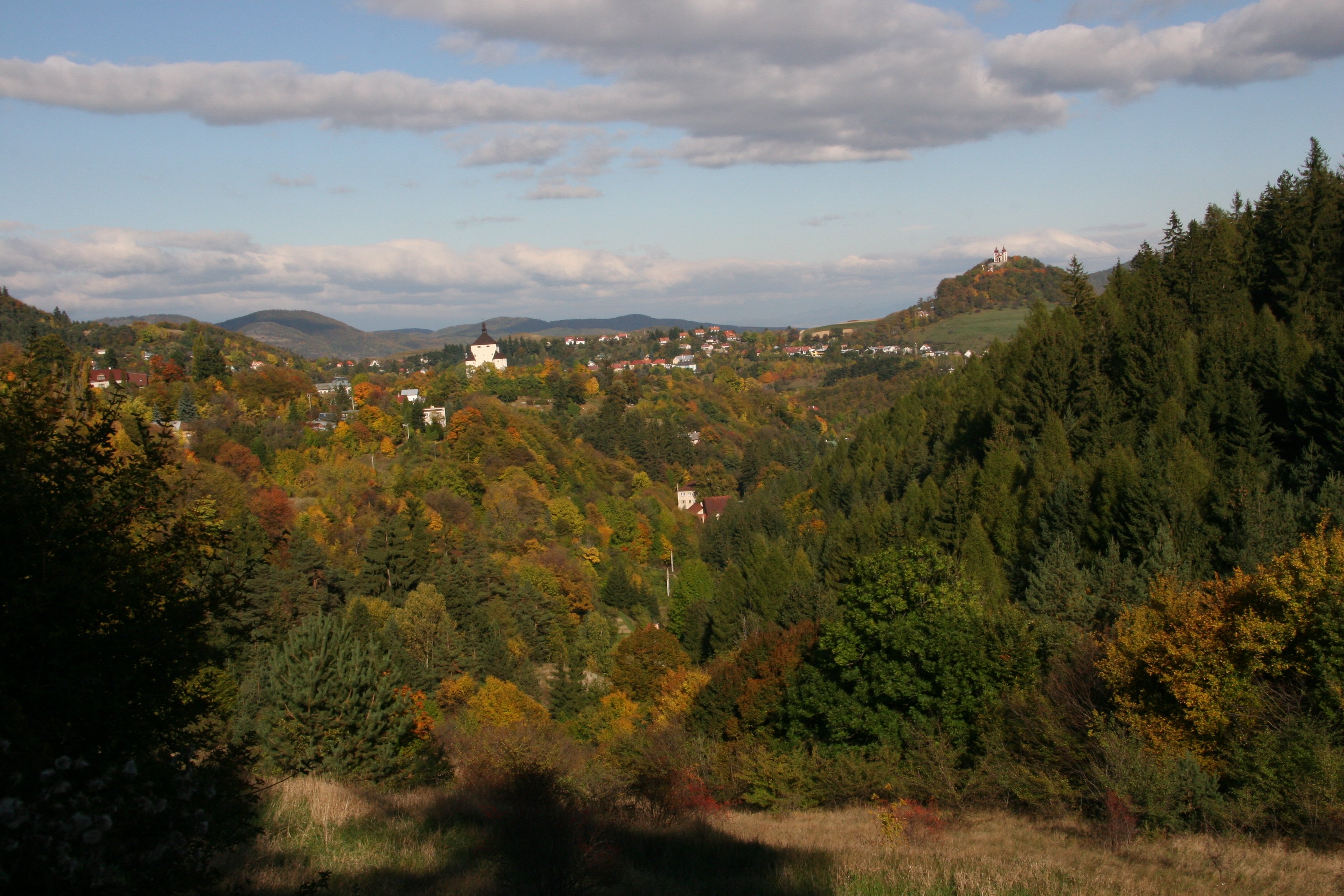 img_6501.jpg