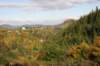 img_6503_small.jpg