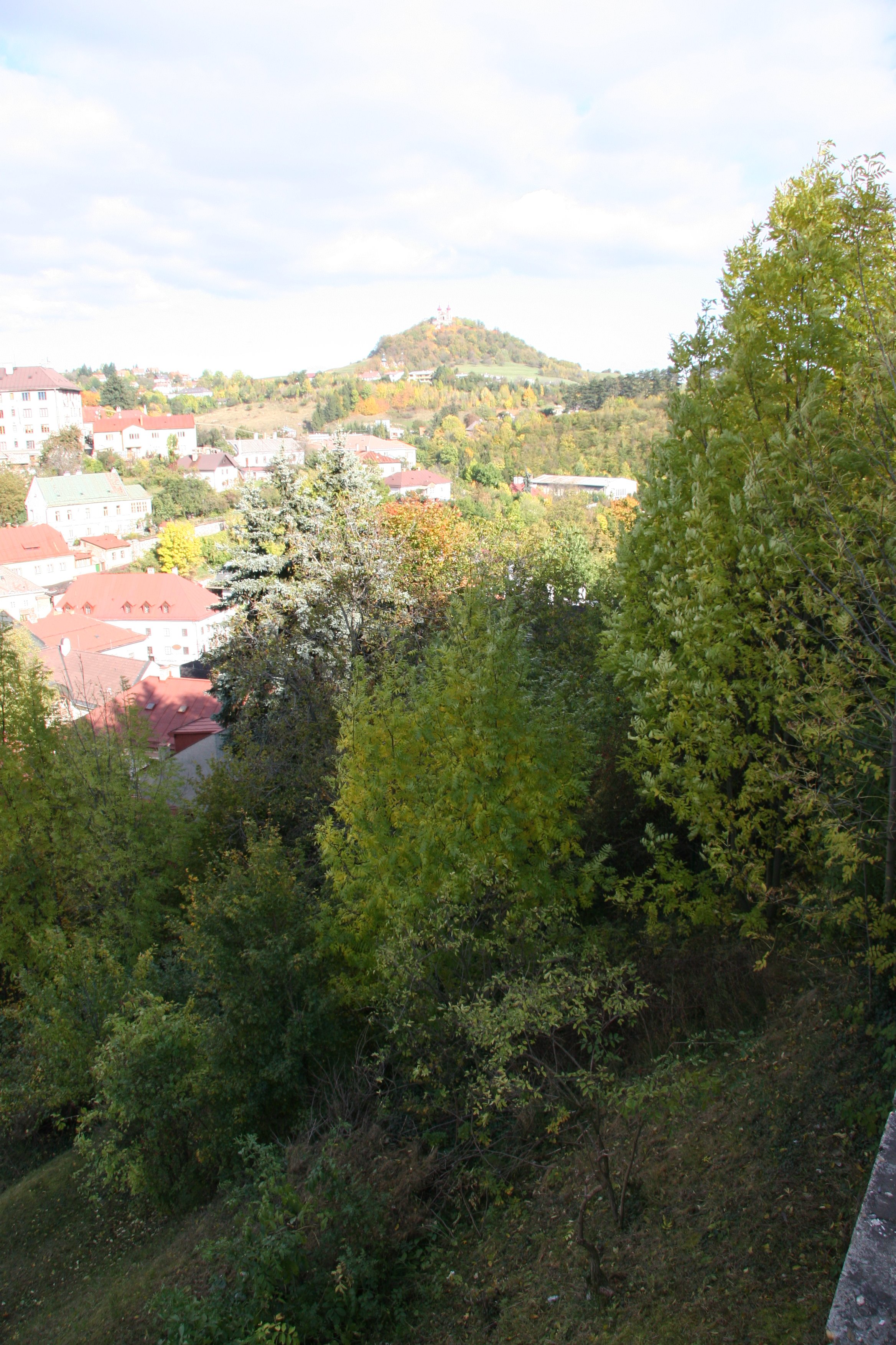 img_6514.jpg