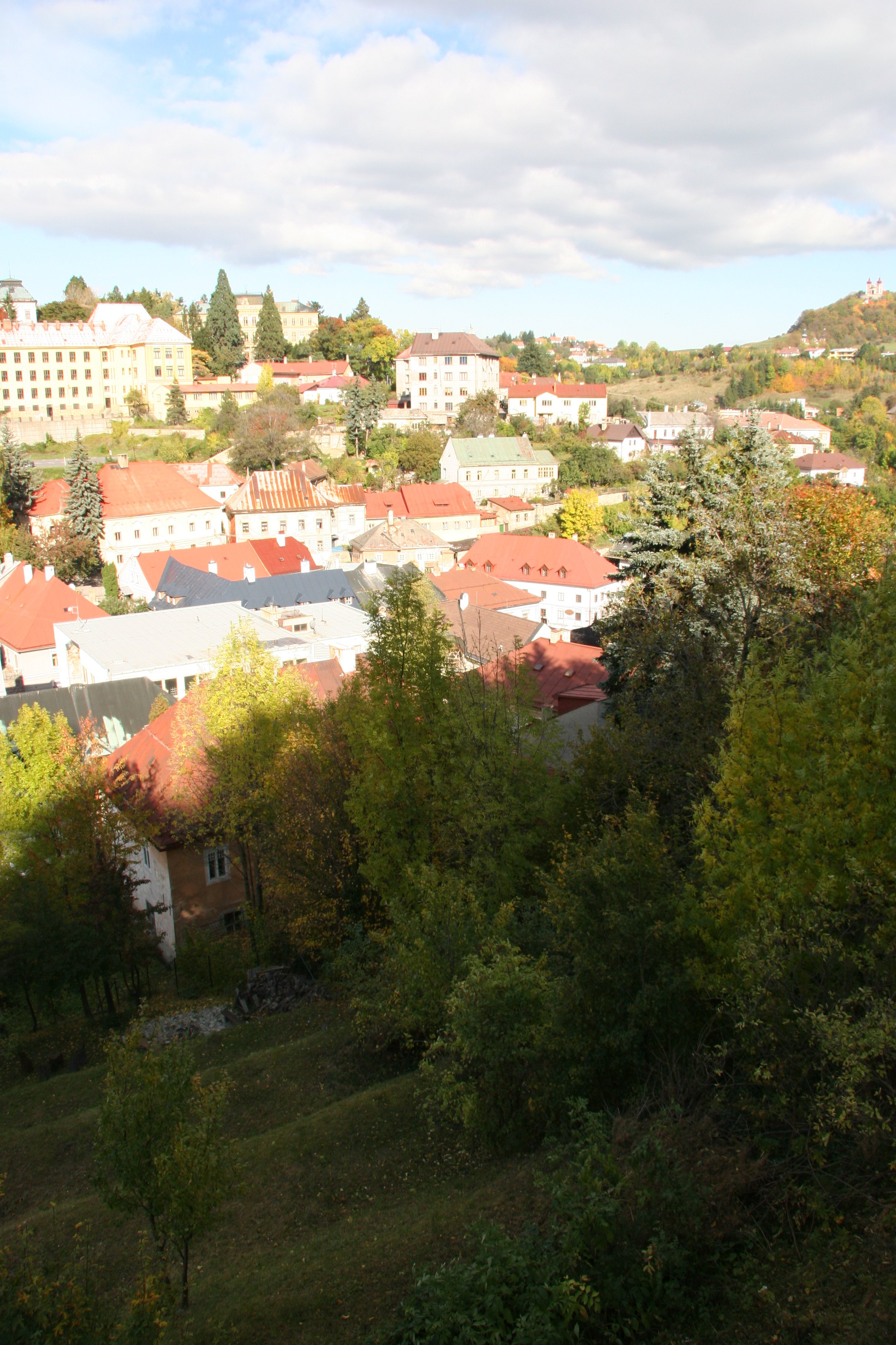 img_6515.jpg