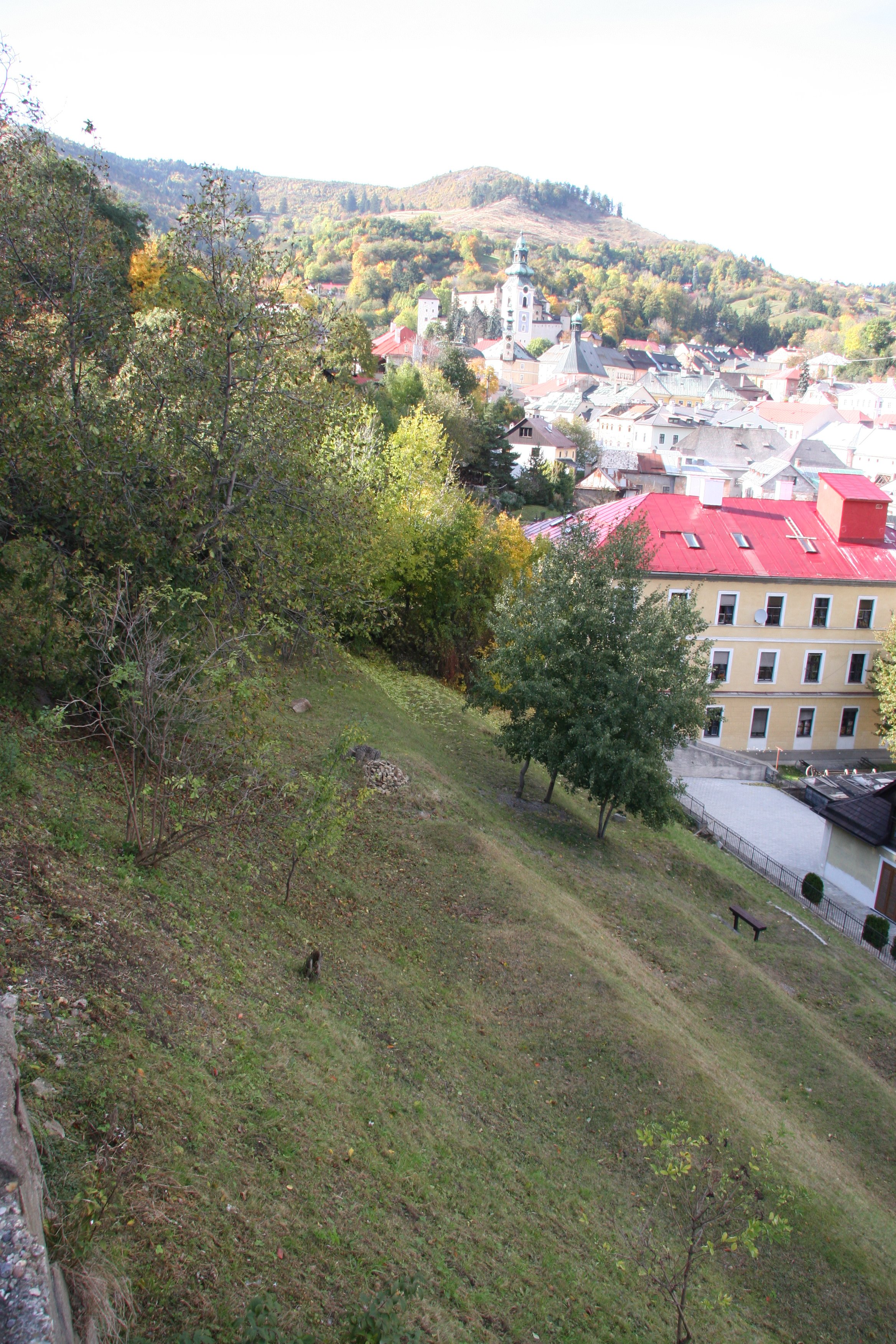 img_6520.jpg