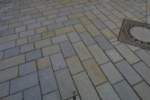 Photo Number 6