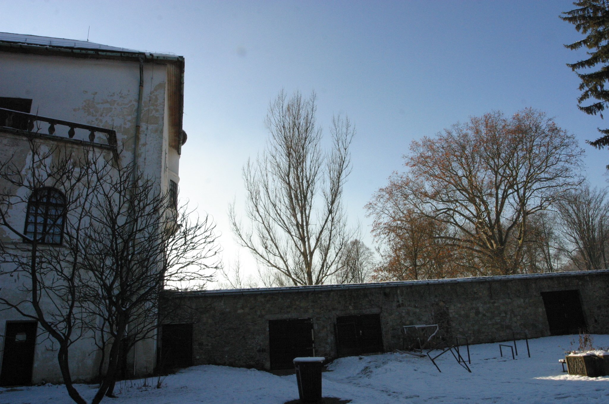 img_3081.jpg