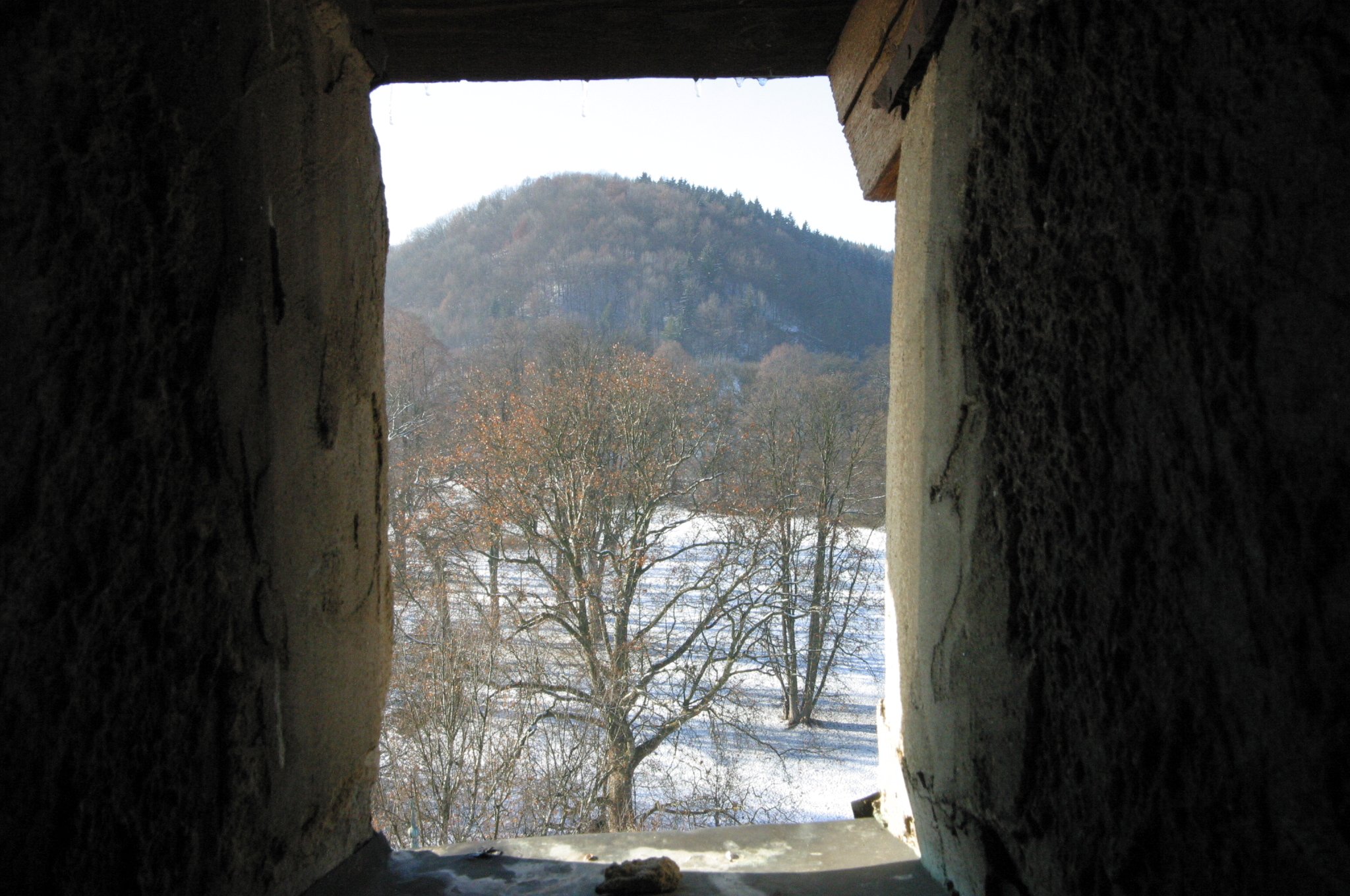 img_3207.jpg