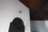img_3231_small.jpg
